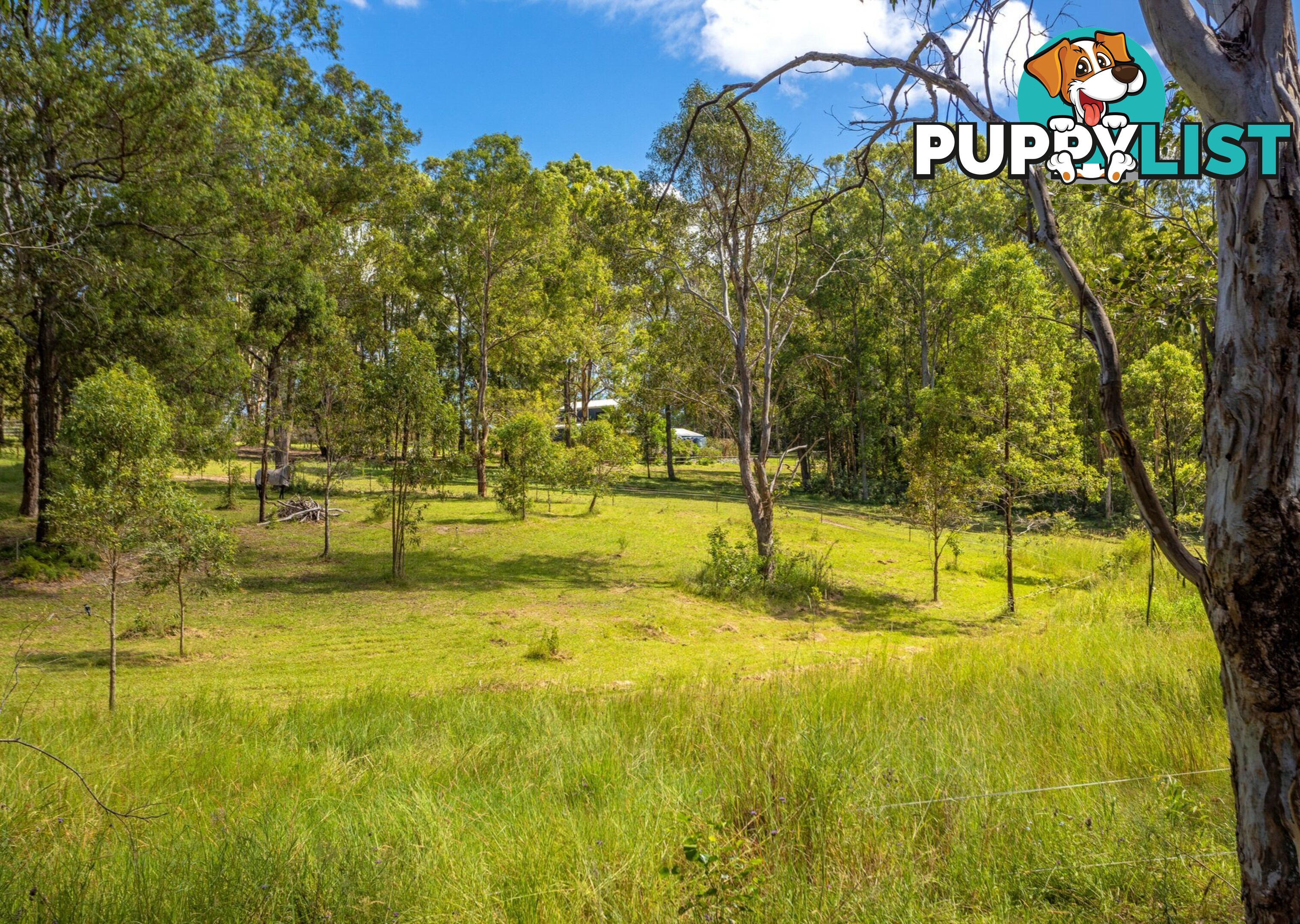 81 Beecher Street TINONEE NSW 2430