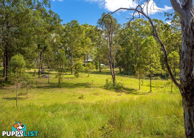 81 Beecher Street TINONEE NSW 2430