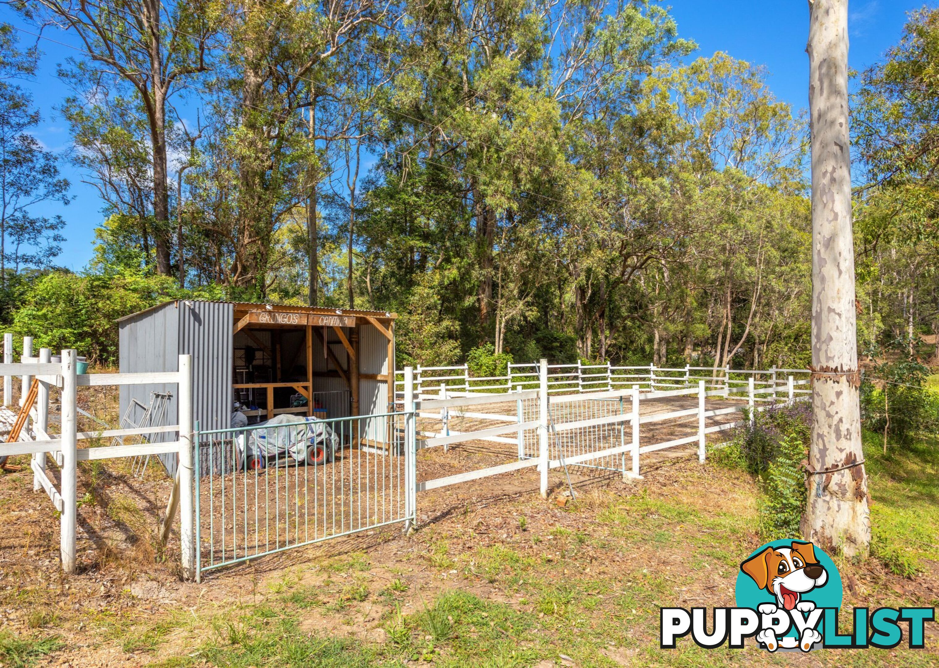 81 Beecher Street TINONEE NSW 2430