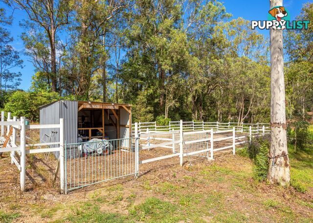 81 Beecher Street TINONEE NSW 2430