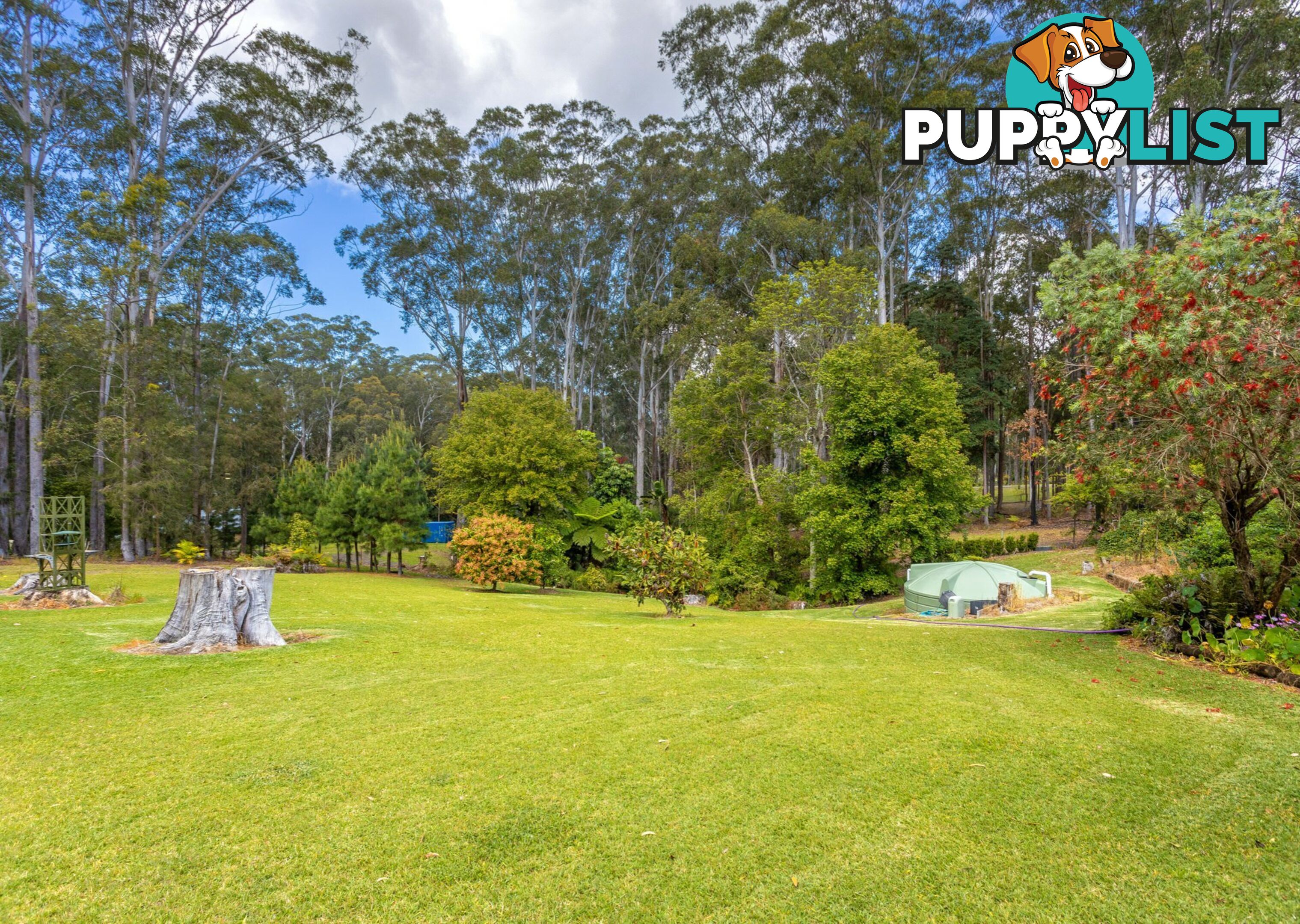 13 Rainforest Drive MITCHELLS ISLAND NSW 2430