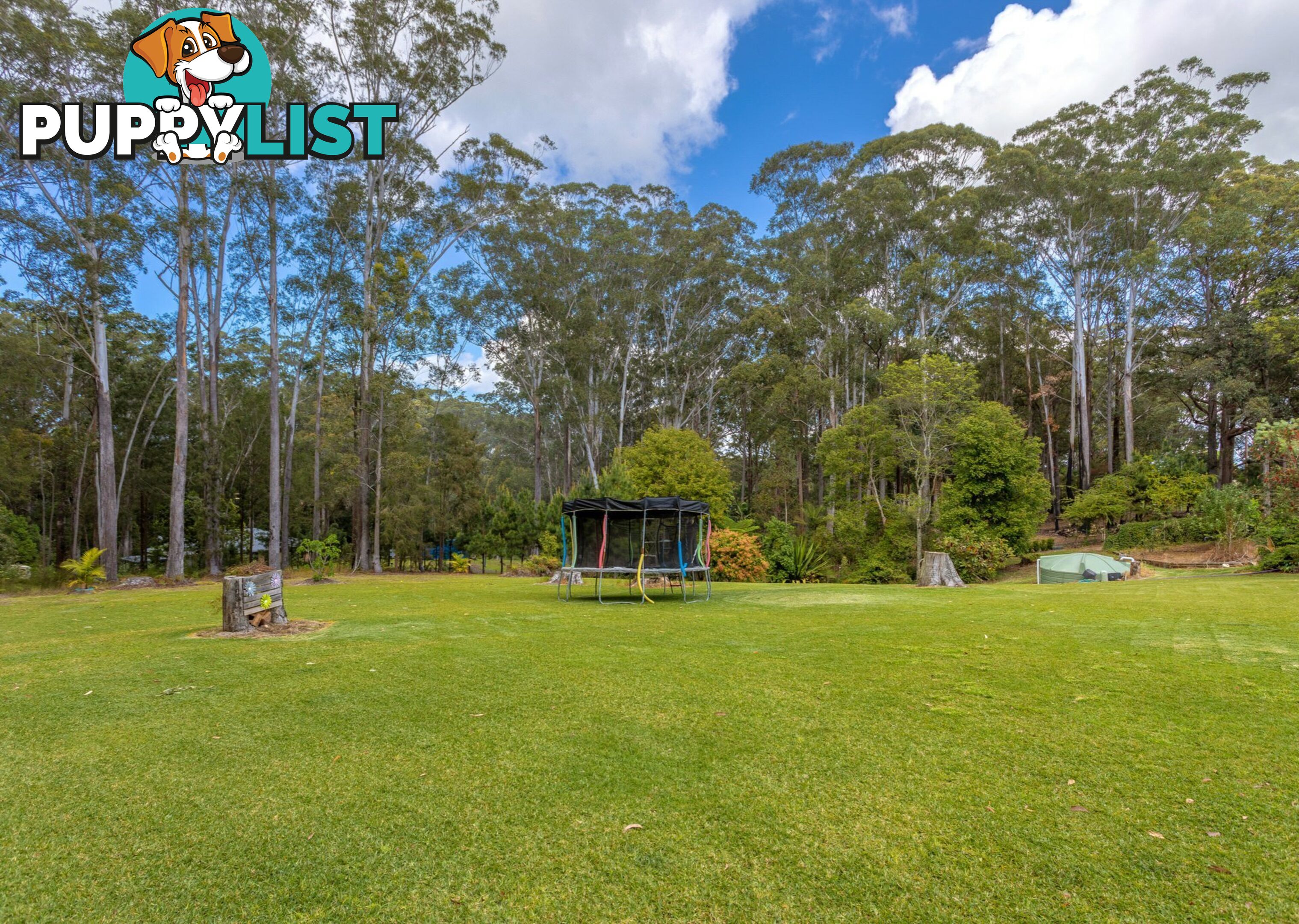 13 Rainforest Drive MITCHELLS ISLAND NSW 2430