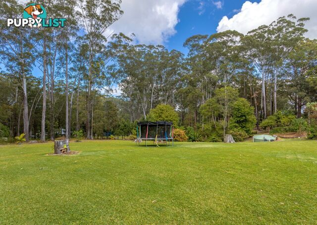 13 Rainforest Drive MITCHELLS ISLAND NSW 2430