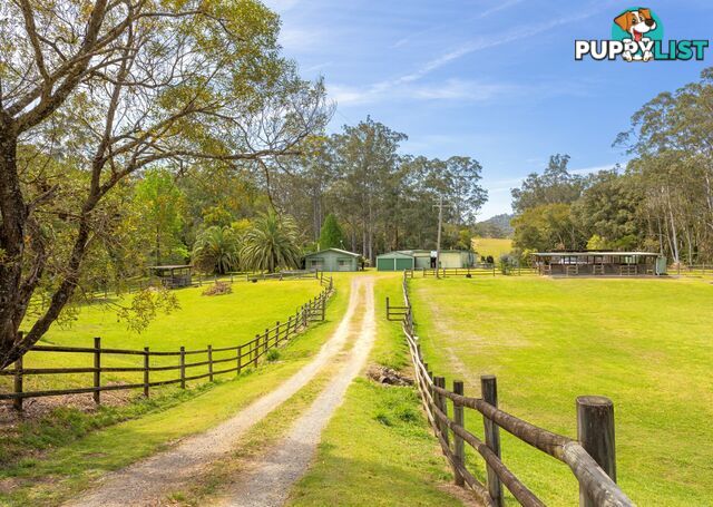 65 Careys Road HILLVILLE NSW 2430