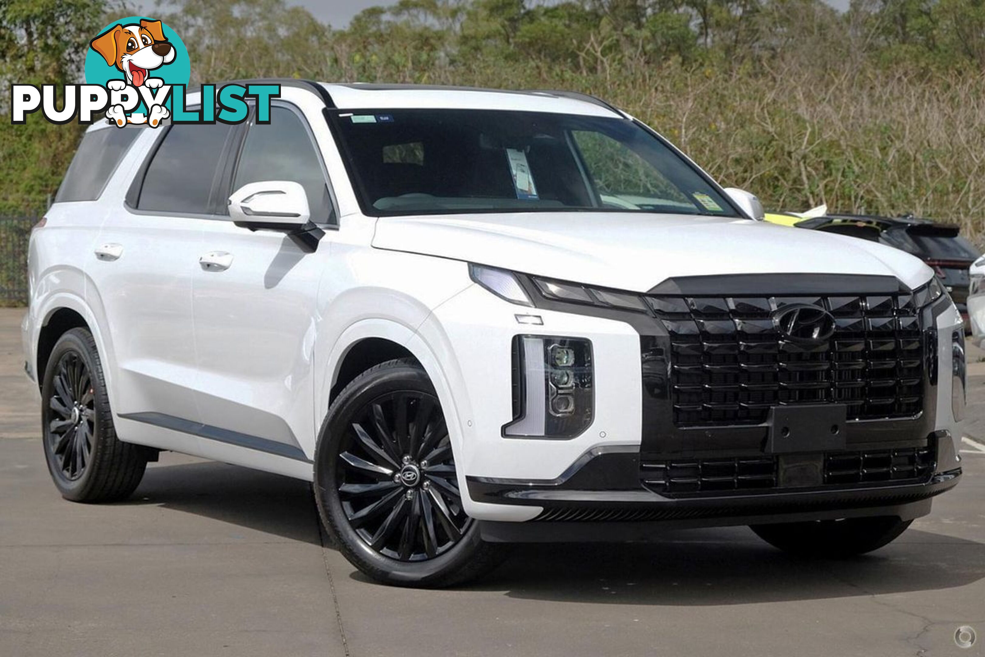 2024 HYUNDAI PALISADE CALLIGRAPHY BLACK INK LX2.V5 SUV
