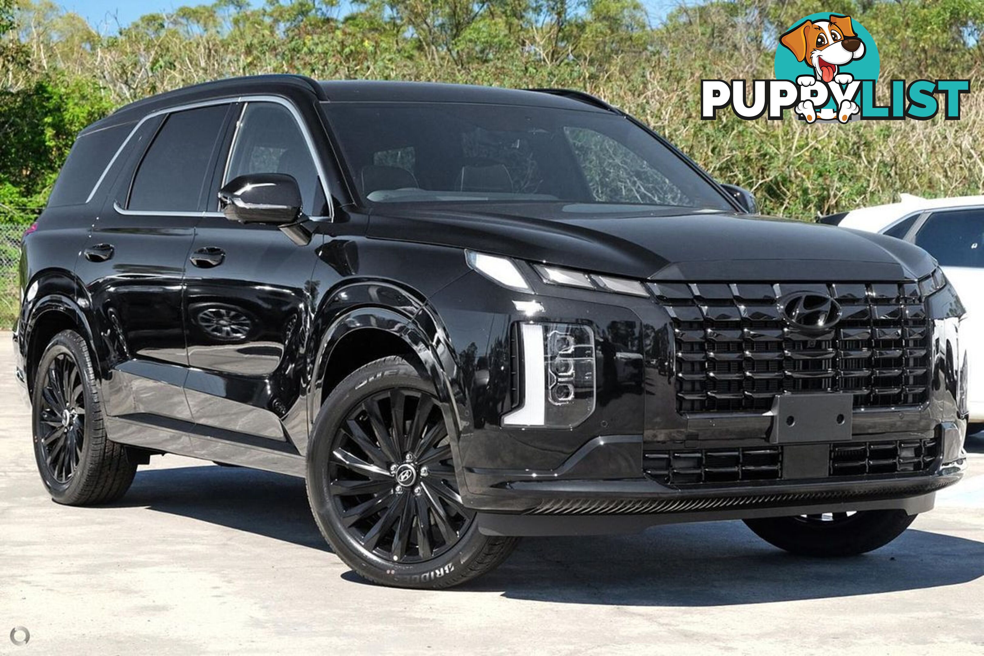 2025 HYUNDAI PALISADE CALLIGRAPHY BLACK INK LX2.V5 SUV