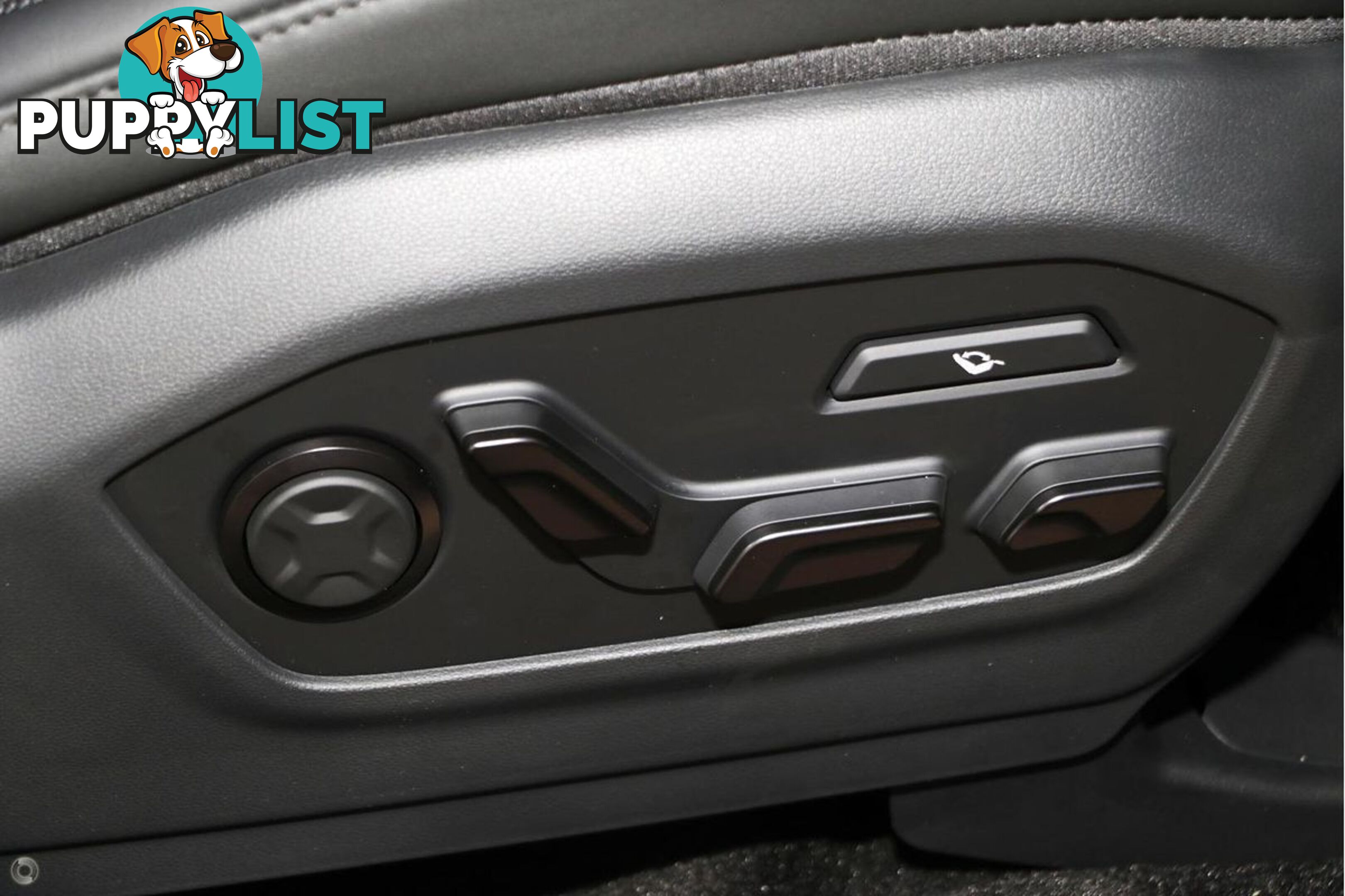2025 HYUNDAI SANTA FE CALLIGRAPHY MX5.V1 SUV