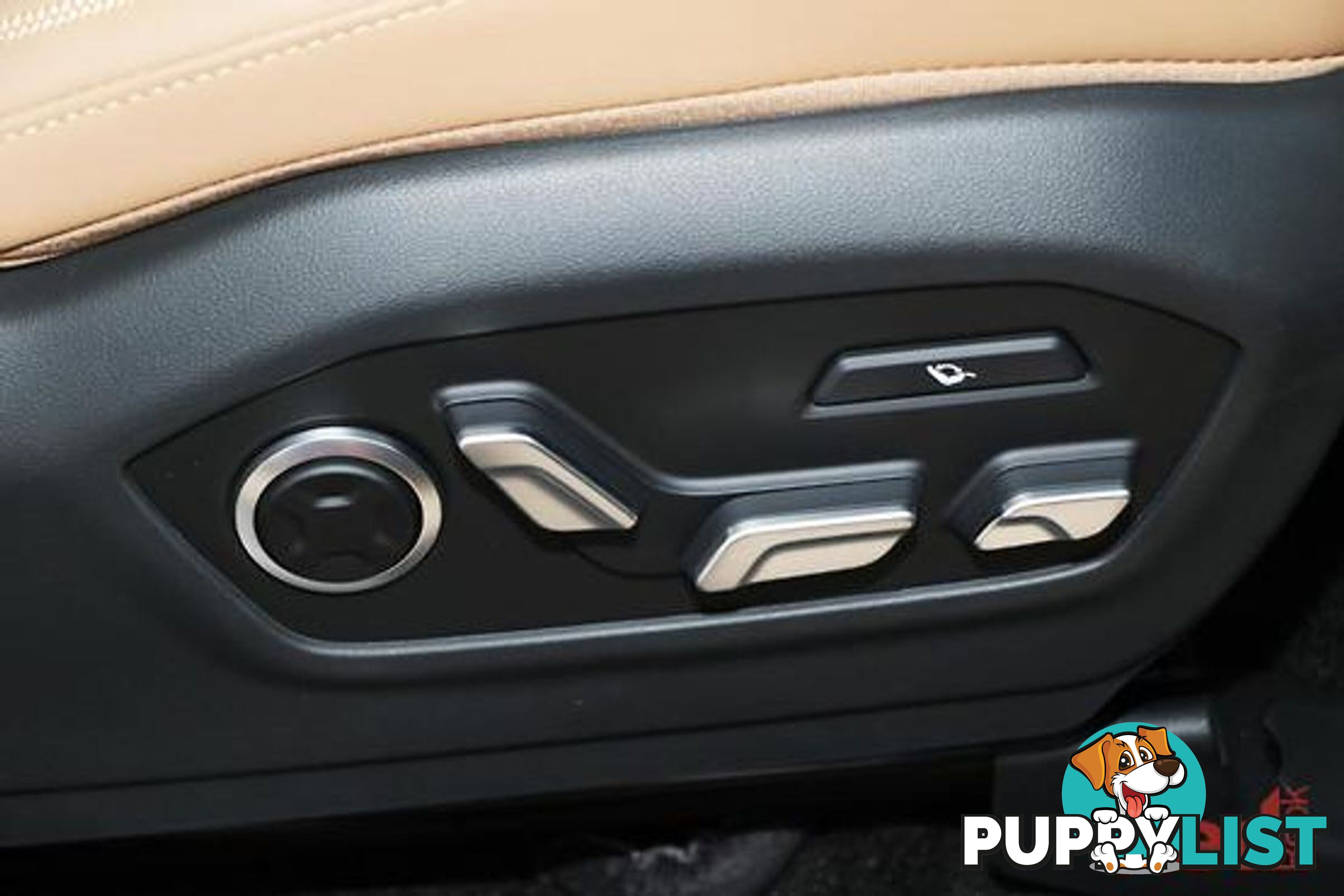 2025 HYUNDAI SANTA FE CALLIGRAPHY MX5.V1 SUV