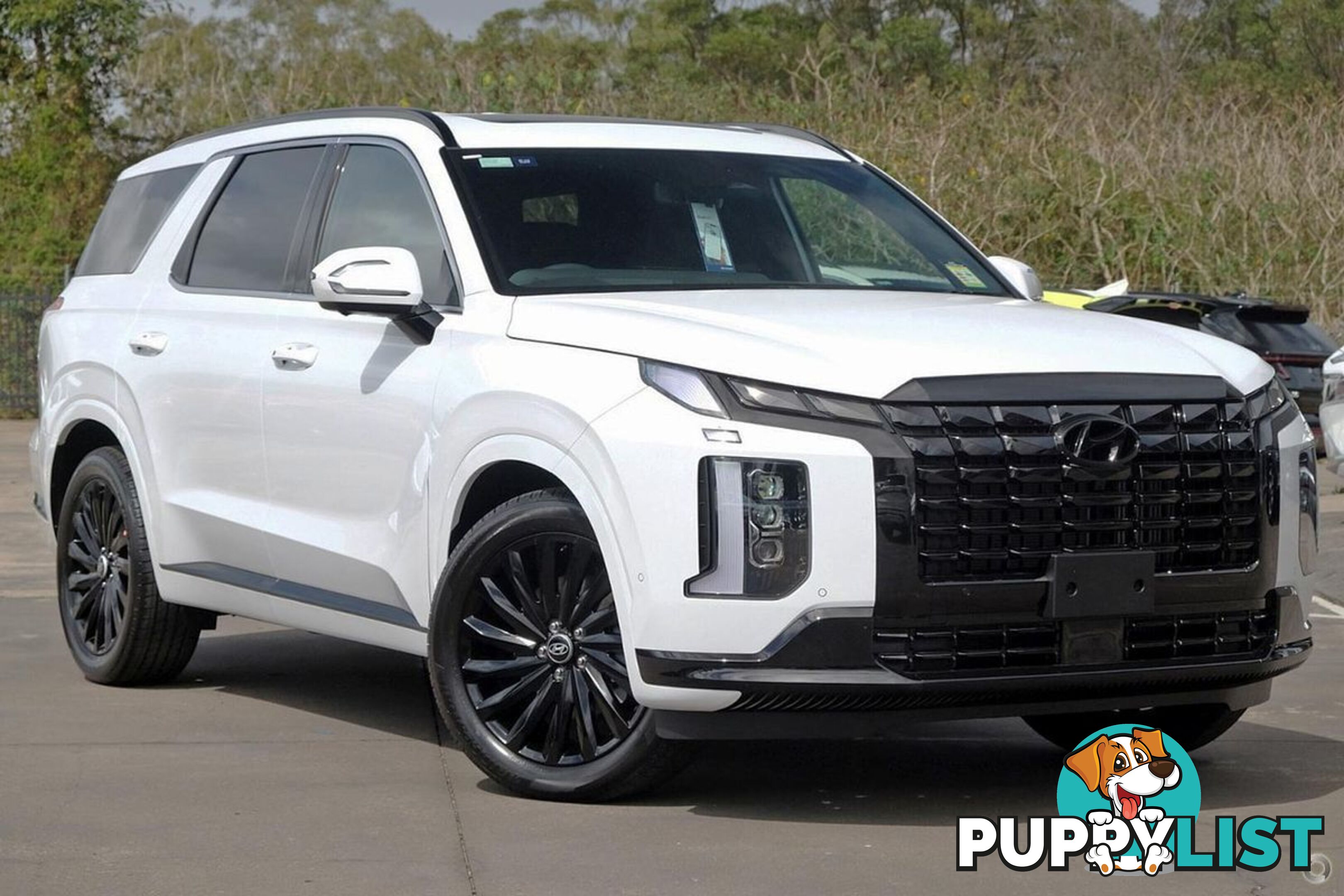 2024 HYUNDAI PALISADE CALLIGRAPHY BLACK INK LX2.V5 SUV