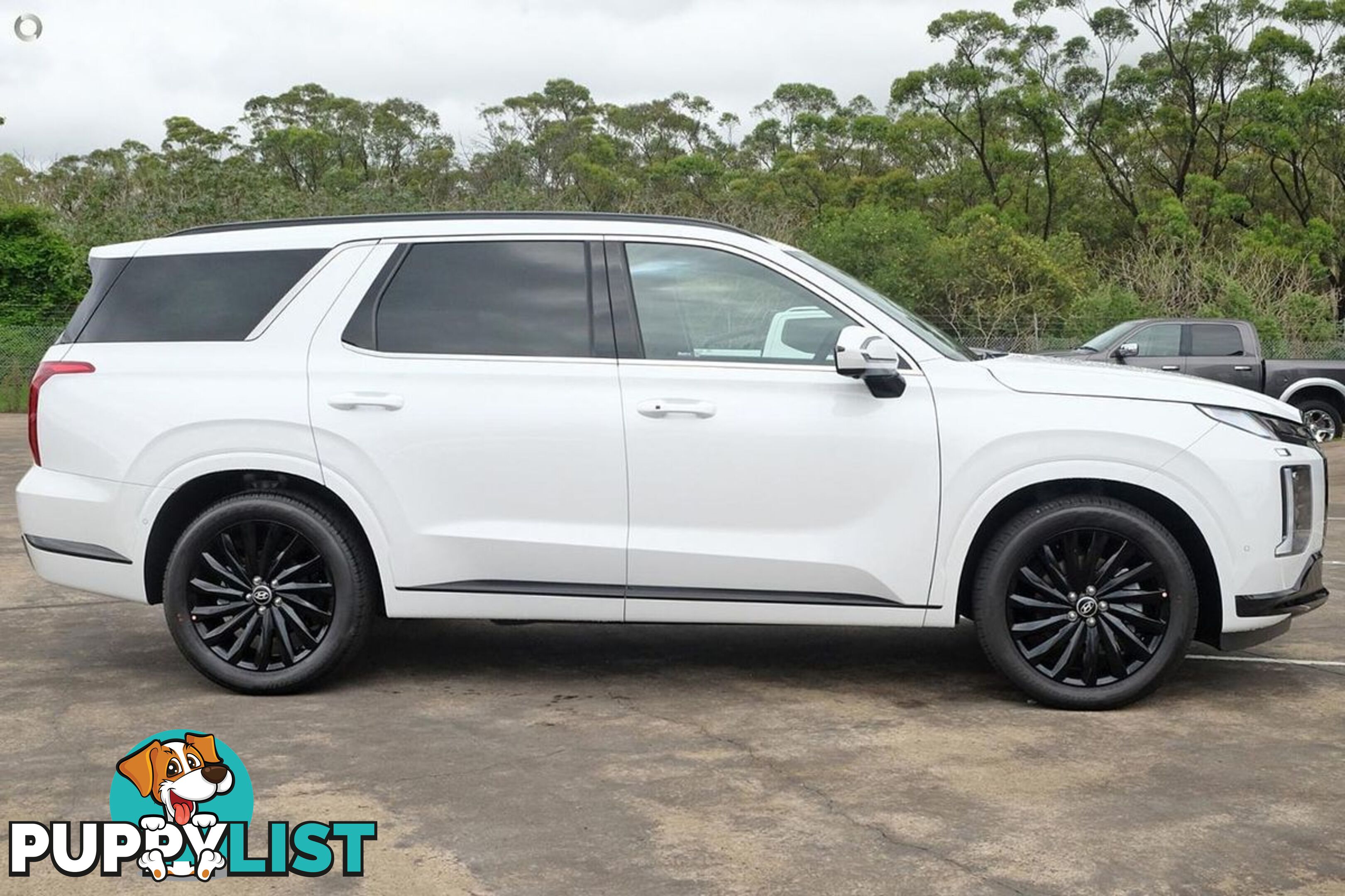 2025 HYUNDAI PALISADE CALLIGRAPHY BLACK INK LX2.V5 SUV