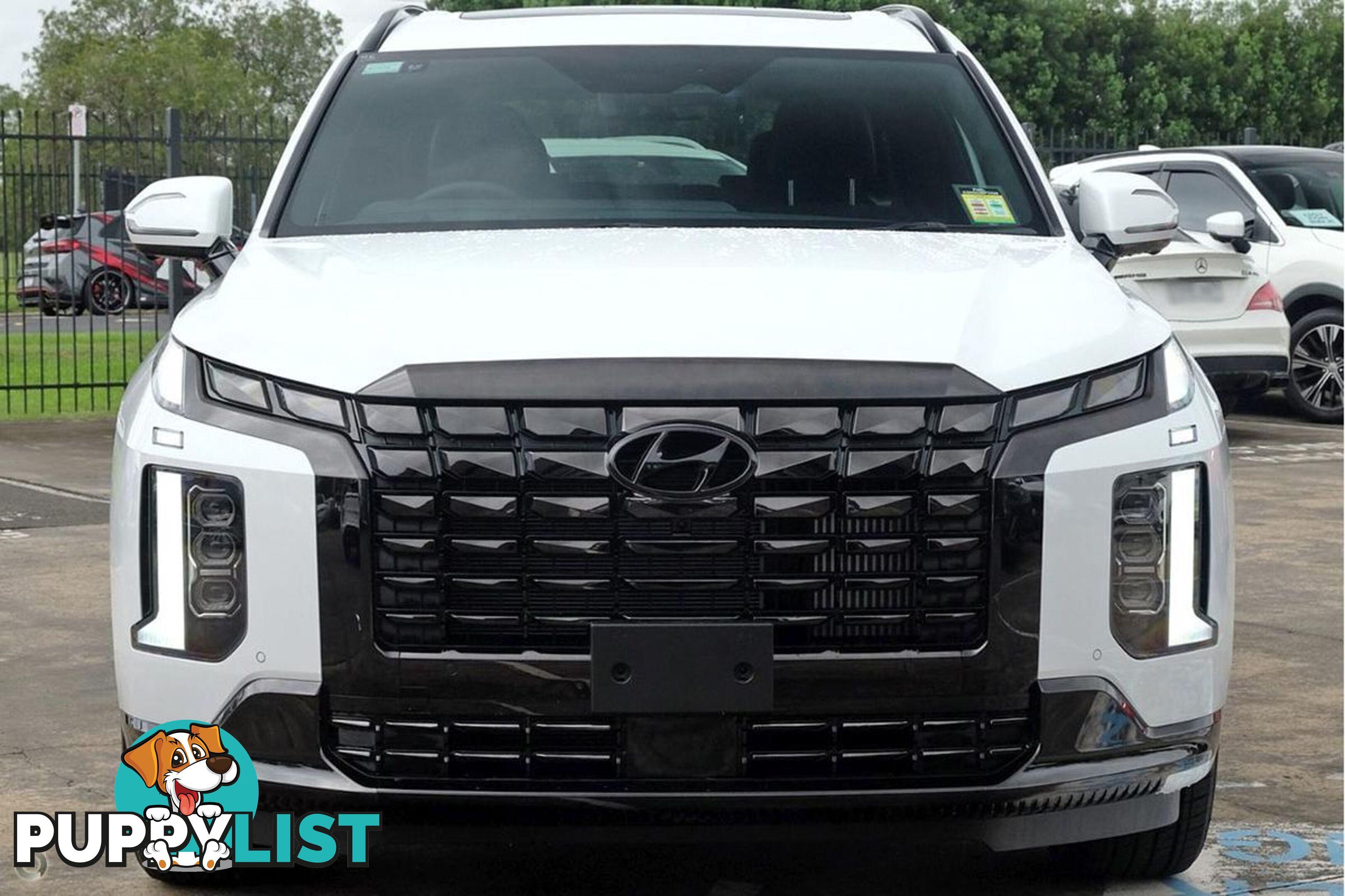 2025 HYUNDAI PALISADE CALLIGRAPHY BLACK INK LX2.V5 SUV