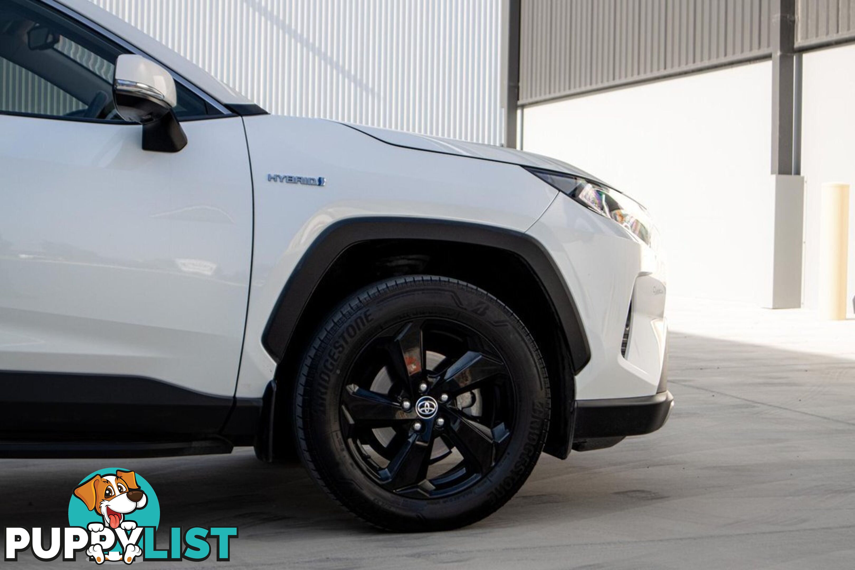 2019 TOYOTA RAV4 CRUISER AXAH52R SUV