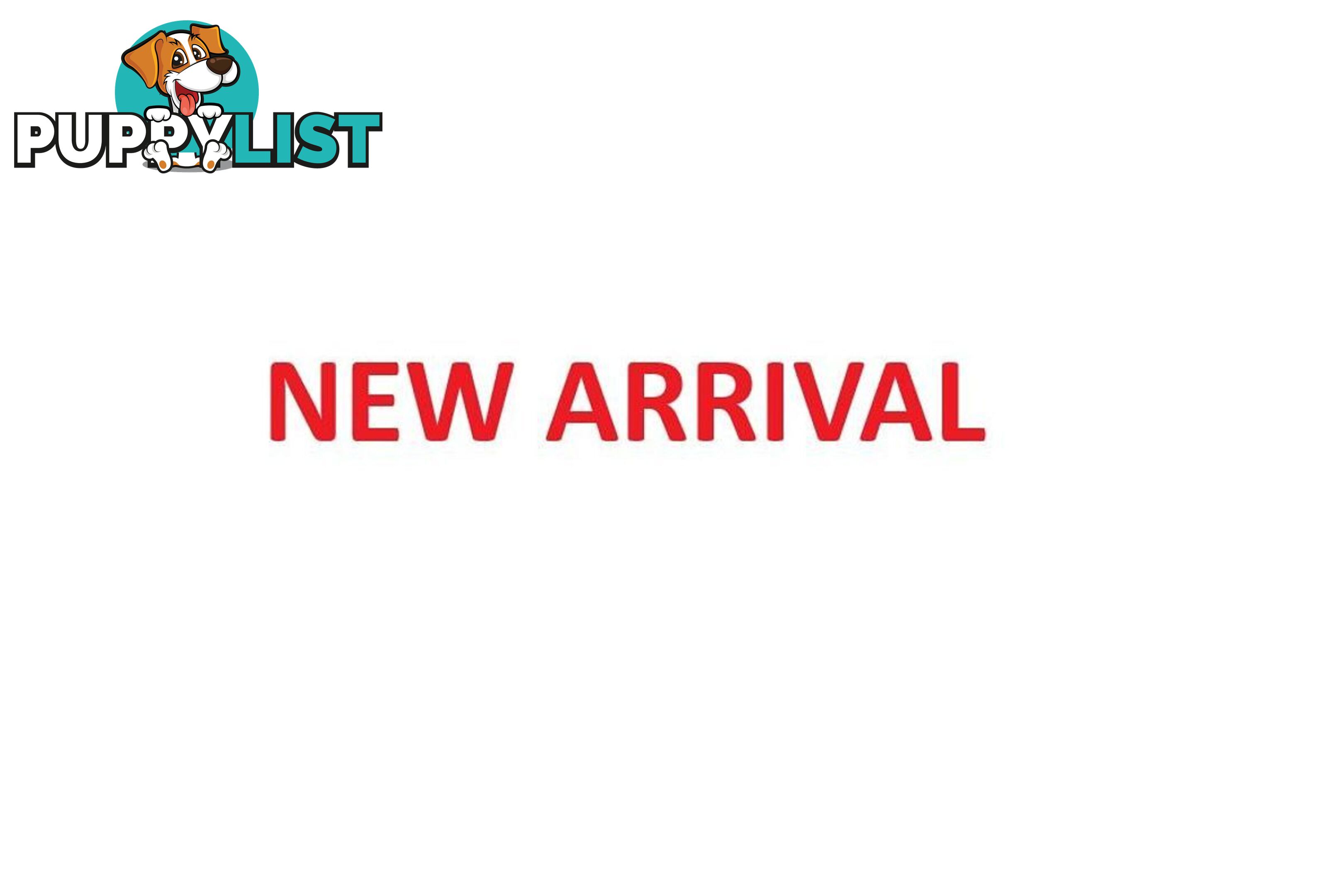 2018 NISSAN QASHQAI ST-L J11 SERIES 2 SUV