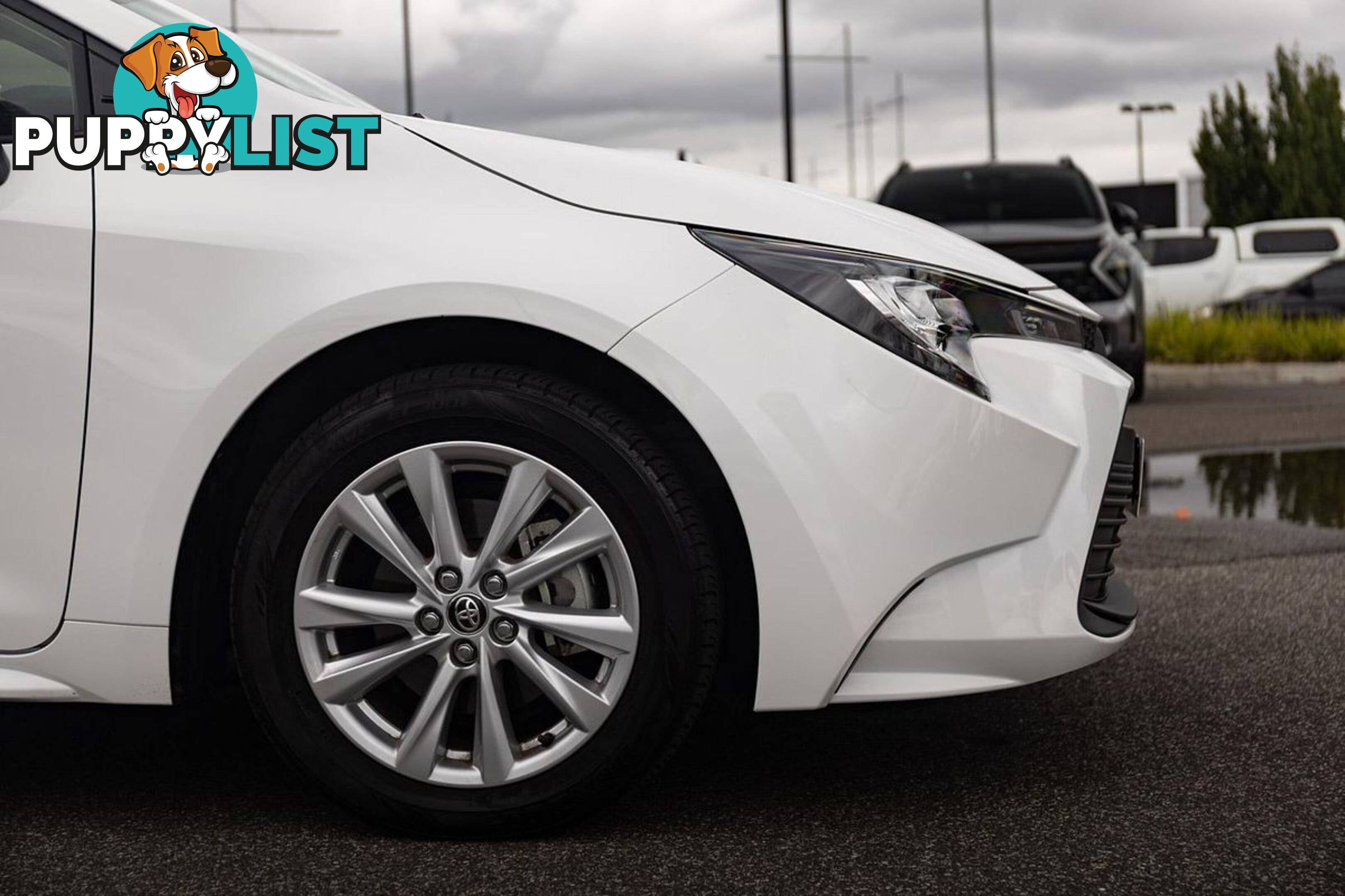 2023 TOYOTA COROLLA ASCENT SPORT MZEA12R SEDAN