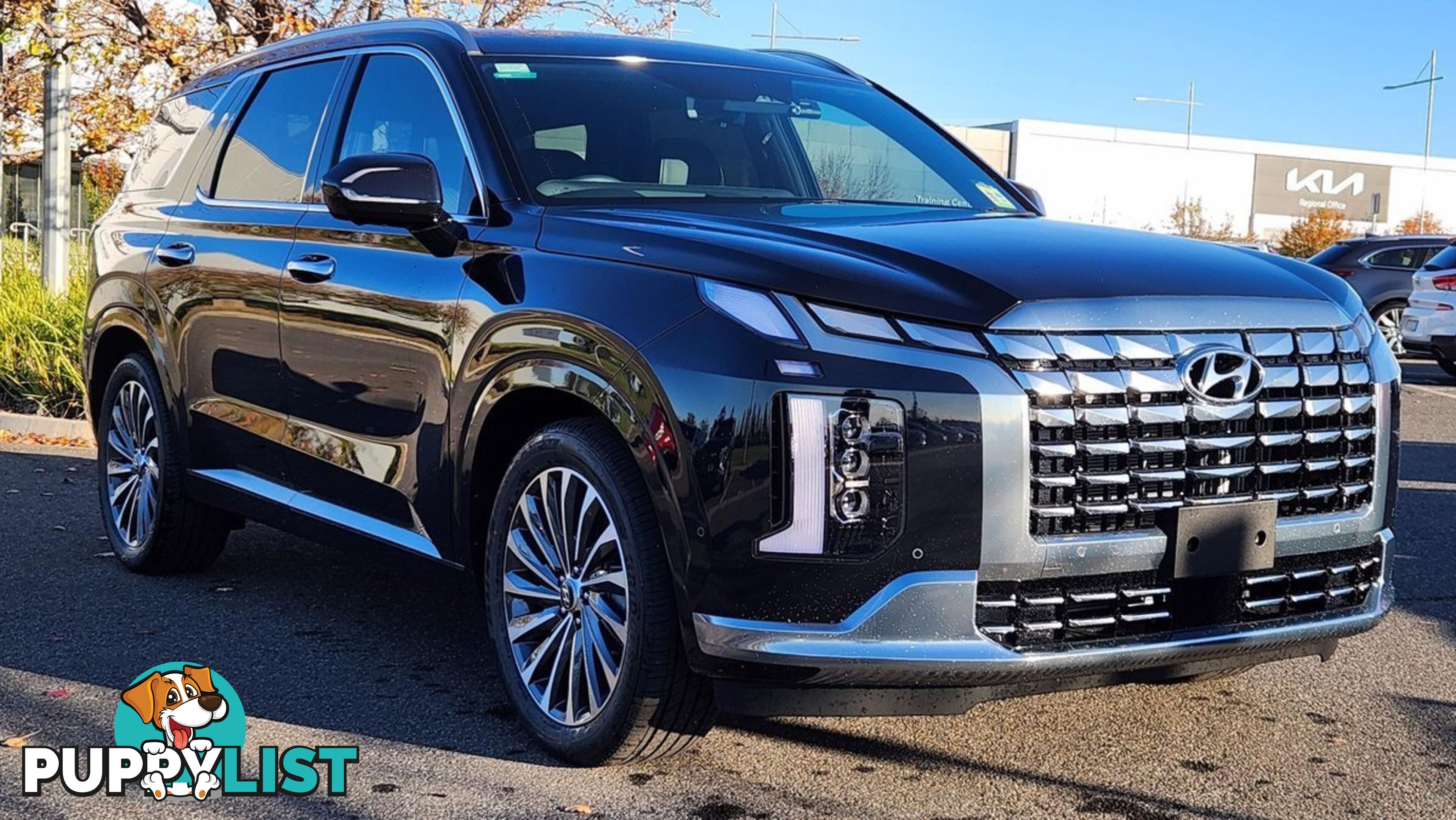 2024 HYUNDAI PALISADE CALLIGRAPHY LX2.V4-MY24-AWD SUV