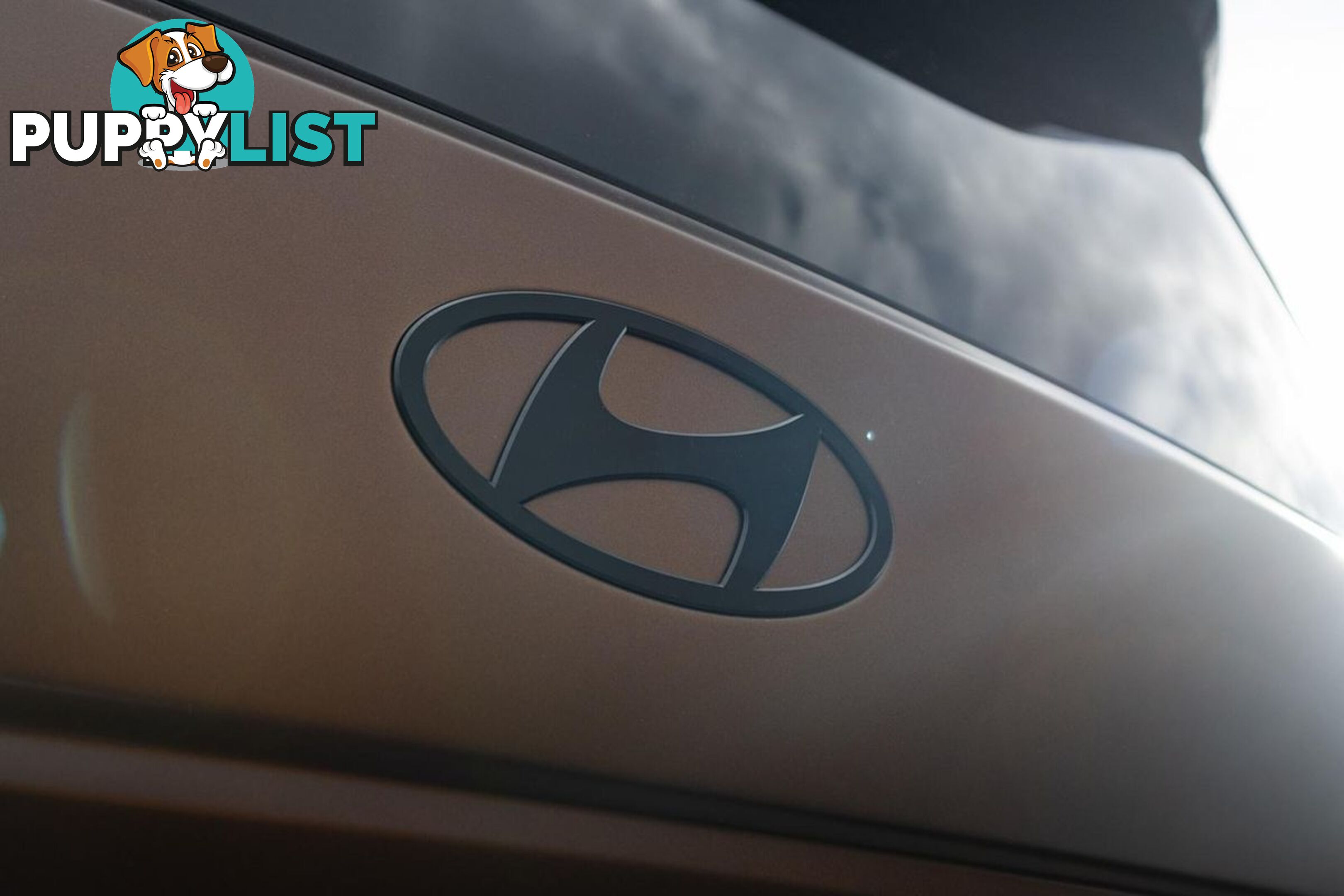 2024 HYUNDAI SANTA FE HYBRID CALLIGRAPHY MX5.V1 SUV