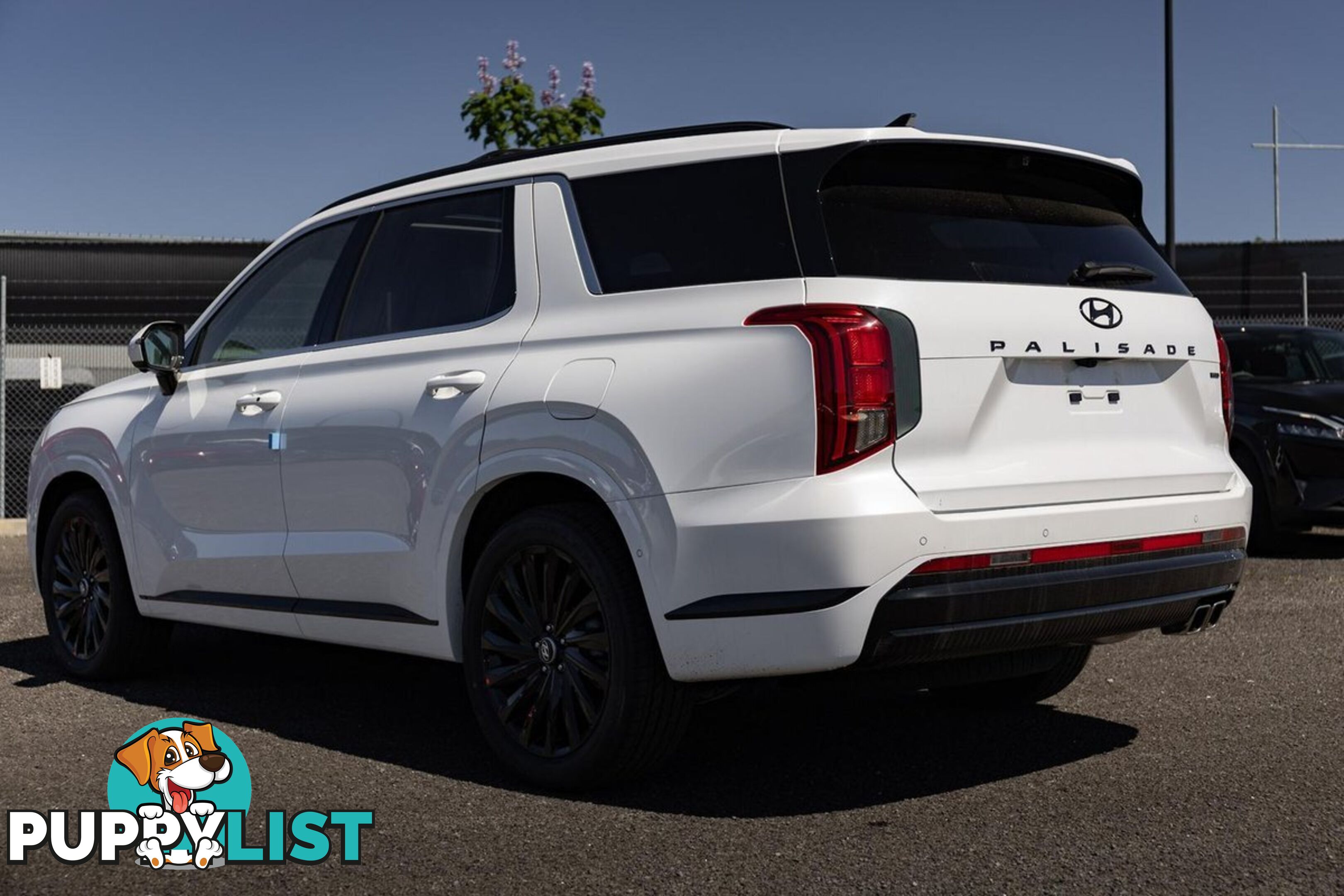 2024 HYUNDAI PALISADE CALLIGRAPHY-BLACK-INK LX2.V5-MY25-AWD SUV