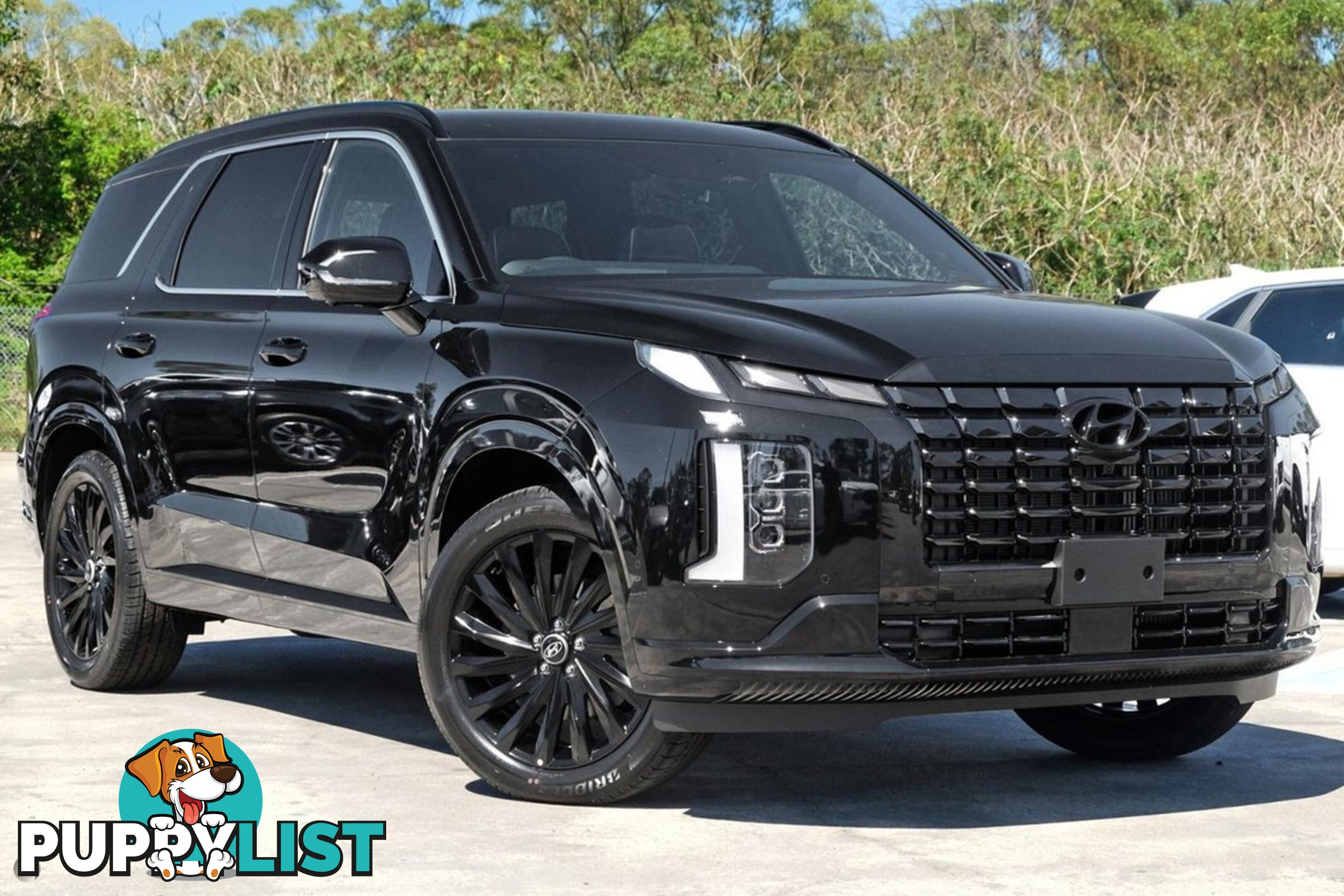 2024 HYUNDAI PALISADE CALLIGRAPHY-BLACK-INK LX2.V5-MY25-AWD SUV