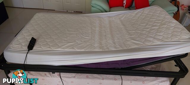 Electric bed with mattress