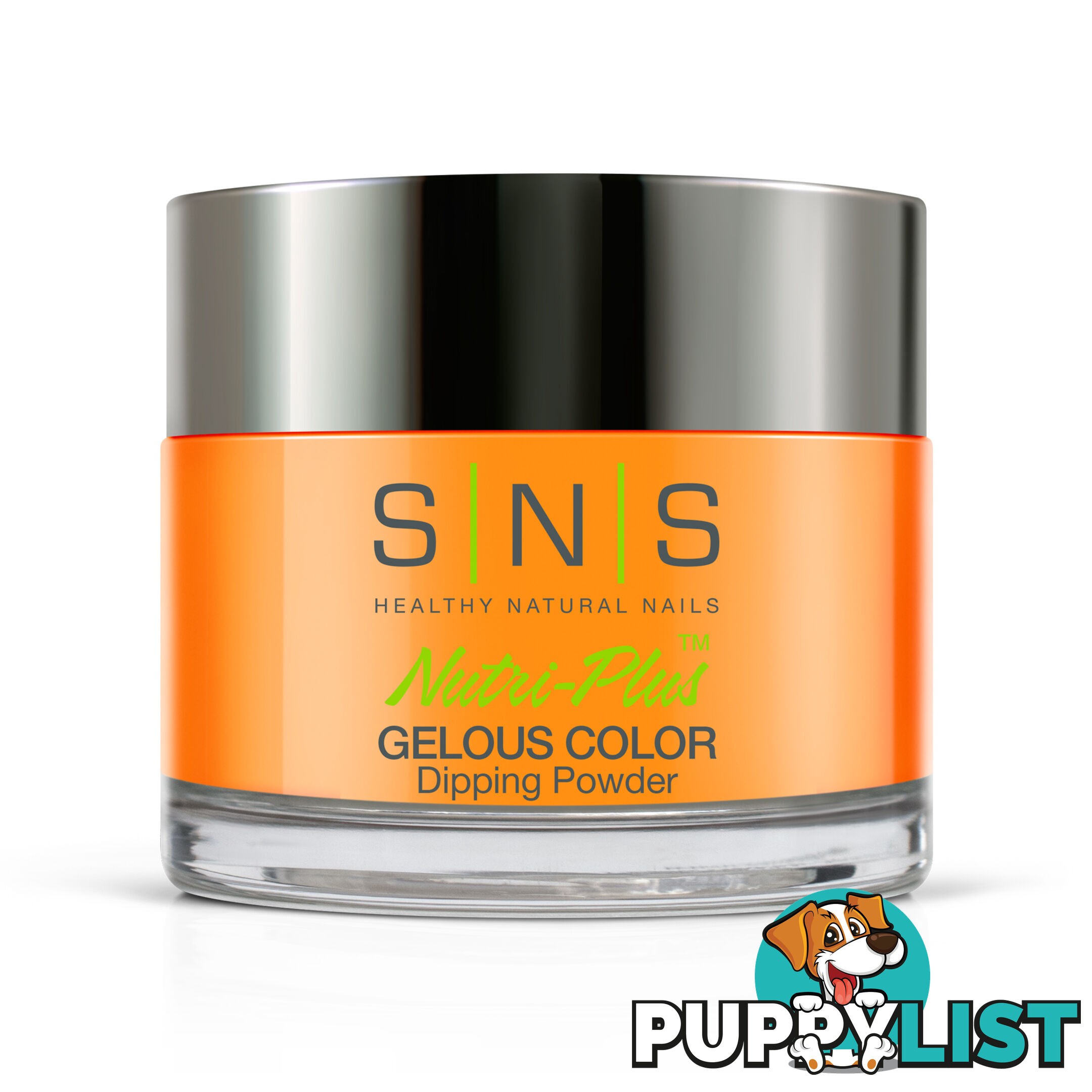 SNS GW05 Gelous Dipping Powder 28g (1oz) Still At Large - 655302846629