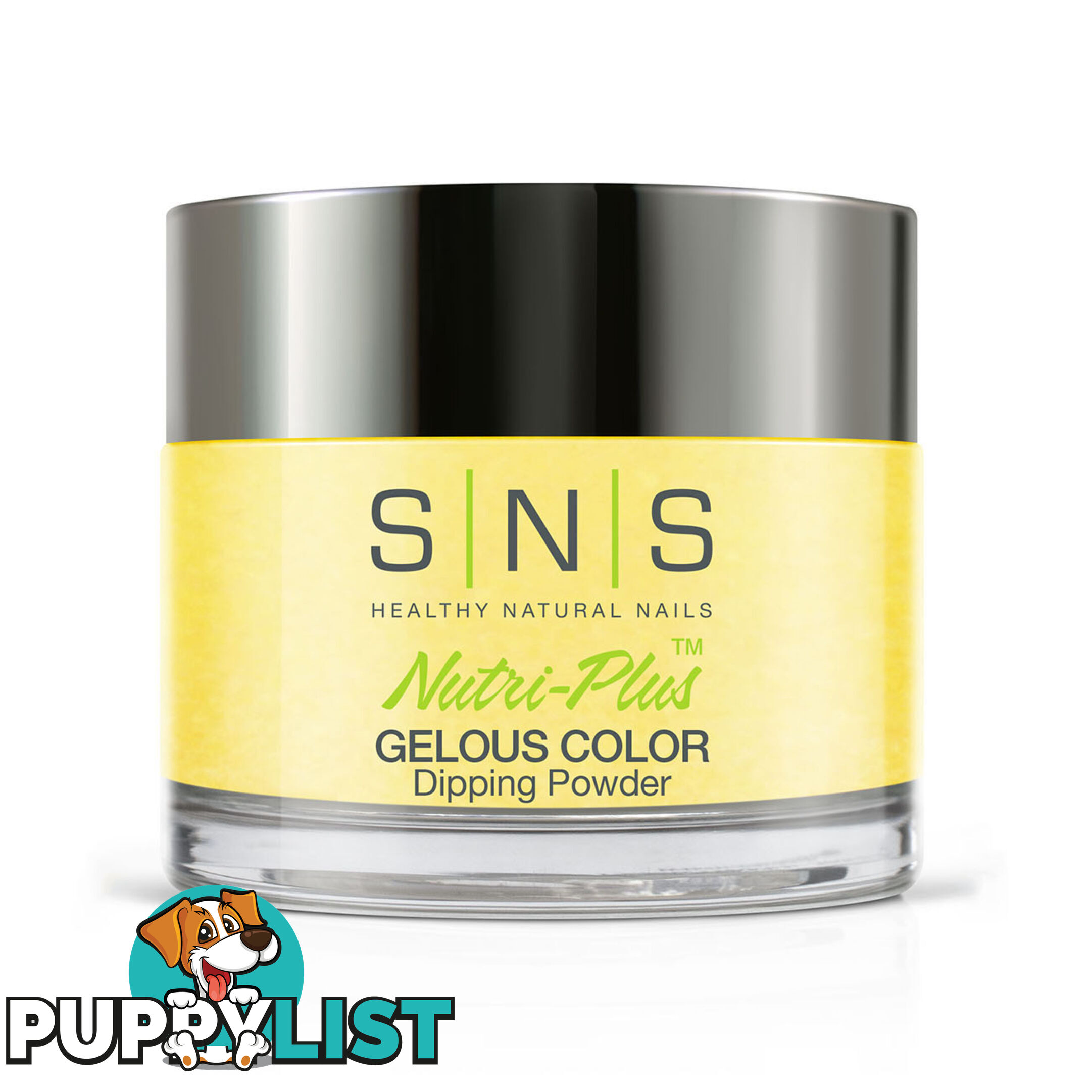 SNS #389 Gelous Dipping Powder 28g (1oz) Chyellow Lessons - 635635737641