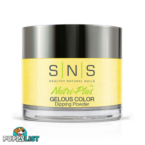 SNS #389 Gelous Dipping Powder 28g (1oz) Chyellow Lessons - 635635737641