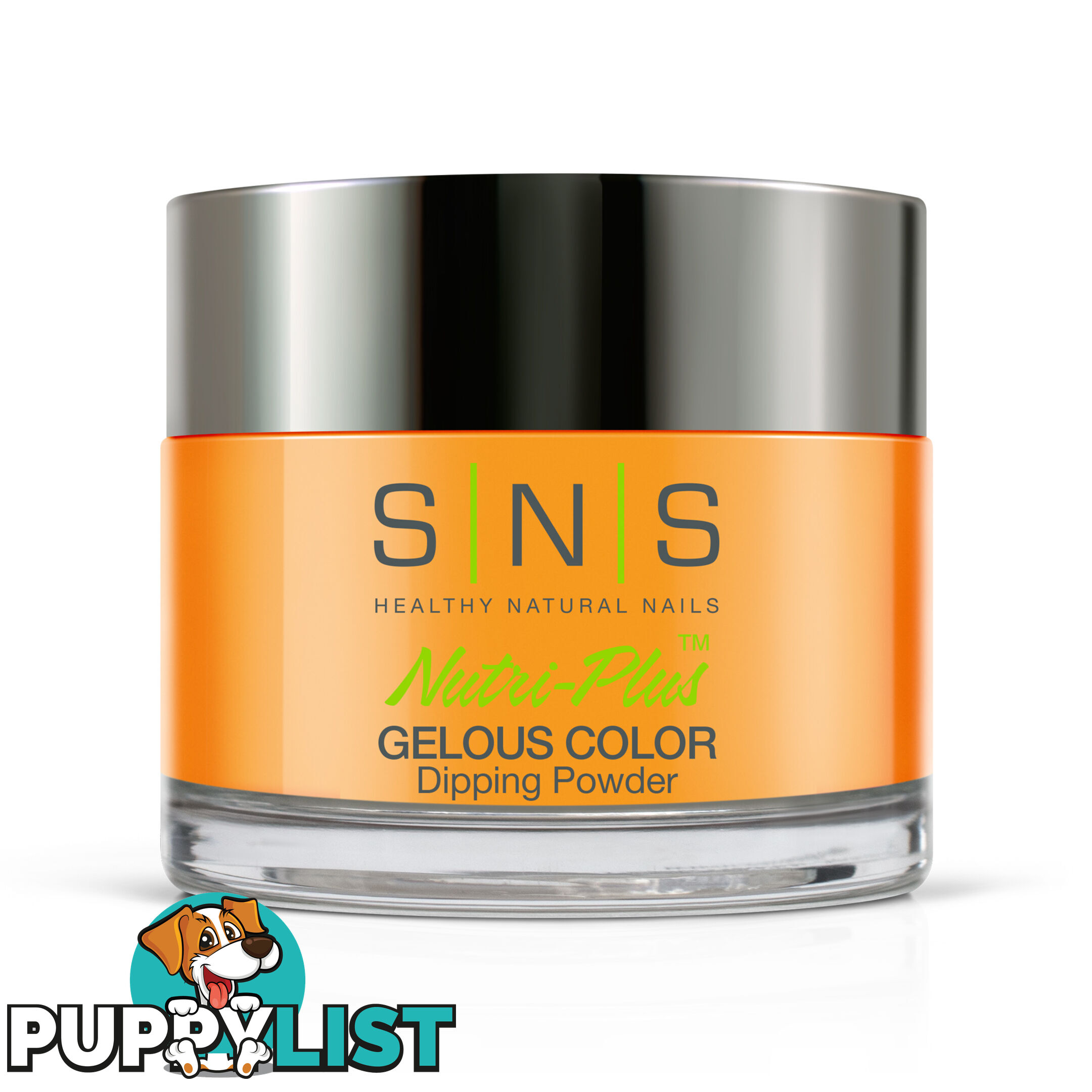 SNS EC09 Gelous Dipping Powder 28g (1oz) Beronoulli Principle - 635635724733