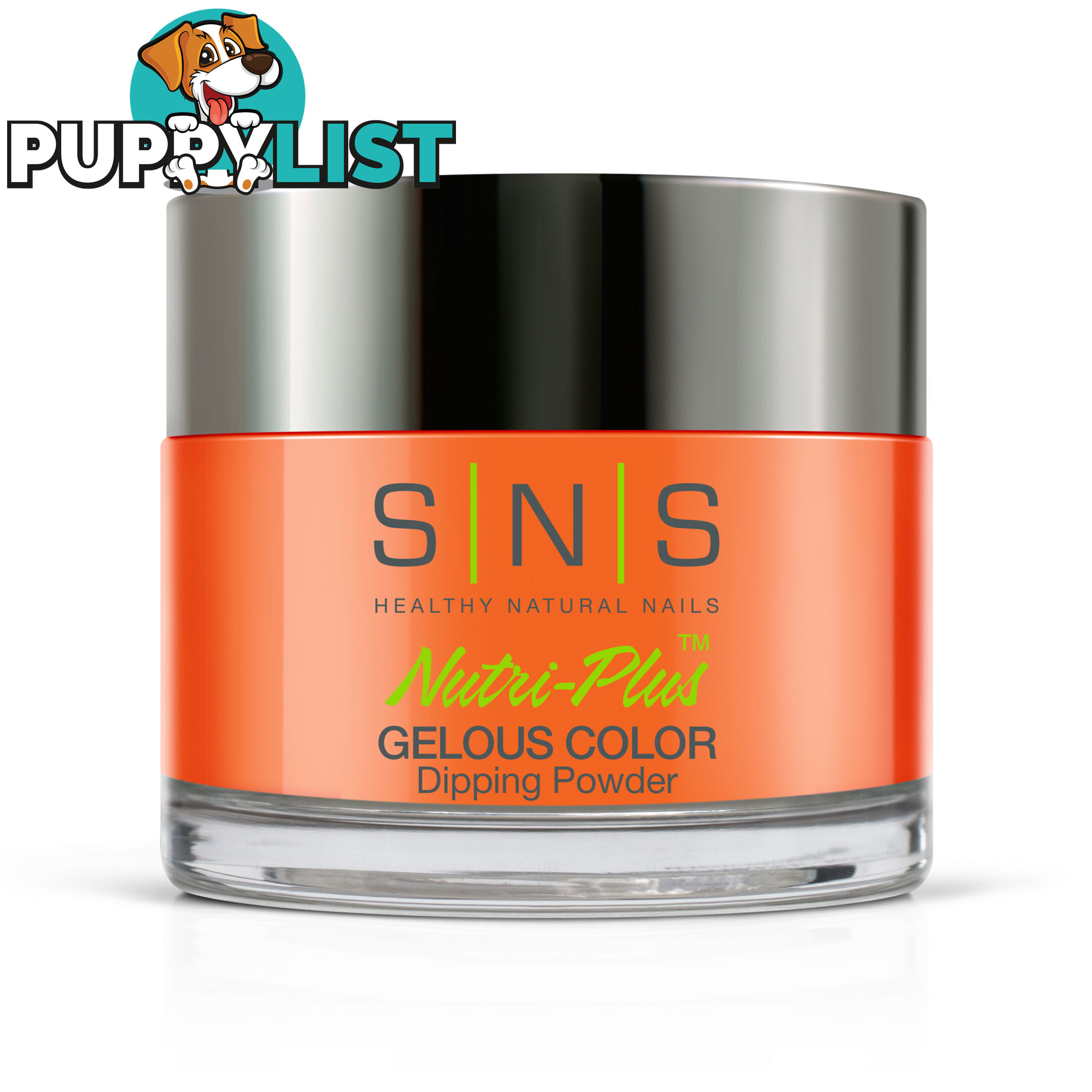 SNS #010 Gelous Dipping Powder 28g (1oz) Youre My Pumpkin Pie