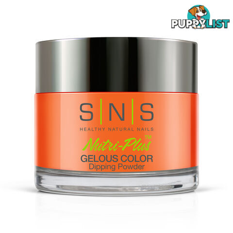 SNS #010 Gelous Dipping Powder 28g (1oz) Youre My Pumpkin Pie