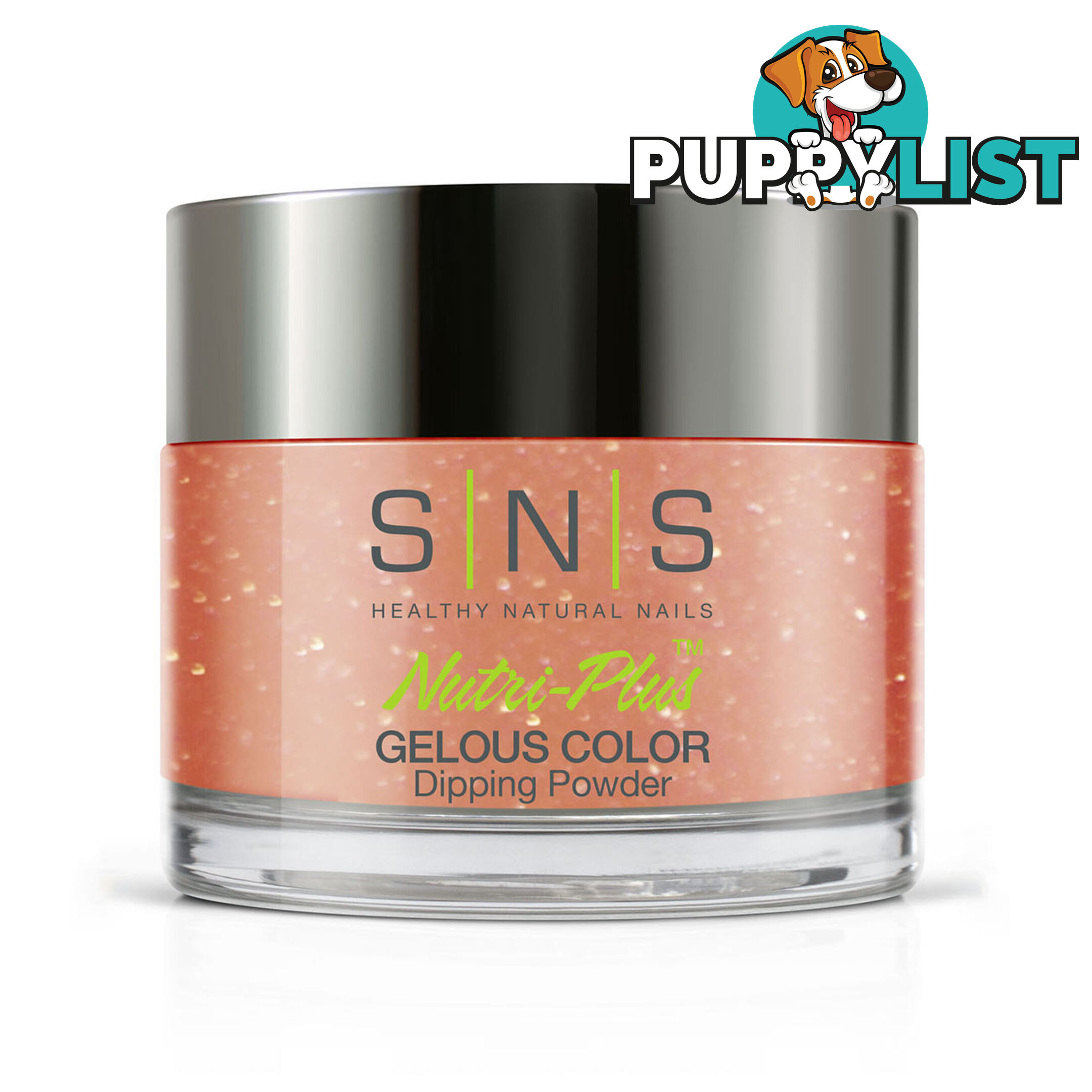 SNS SC17 Gelous Dipping Powder 28g (1oz) Charm School - 635635724184