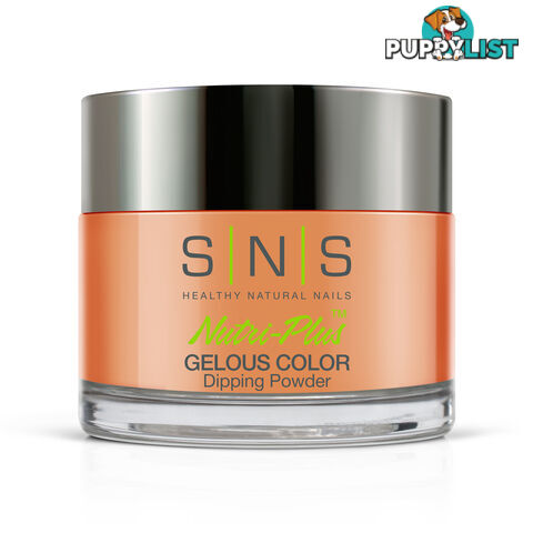 SNS #358 Gelous Dipping Powder 28g (1oz) Pumpkin Spiced - 635635722937