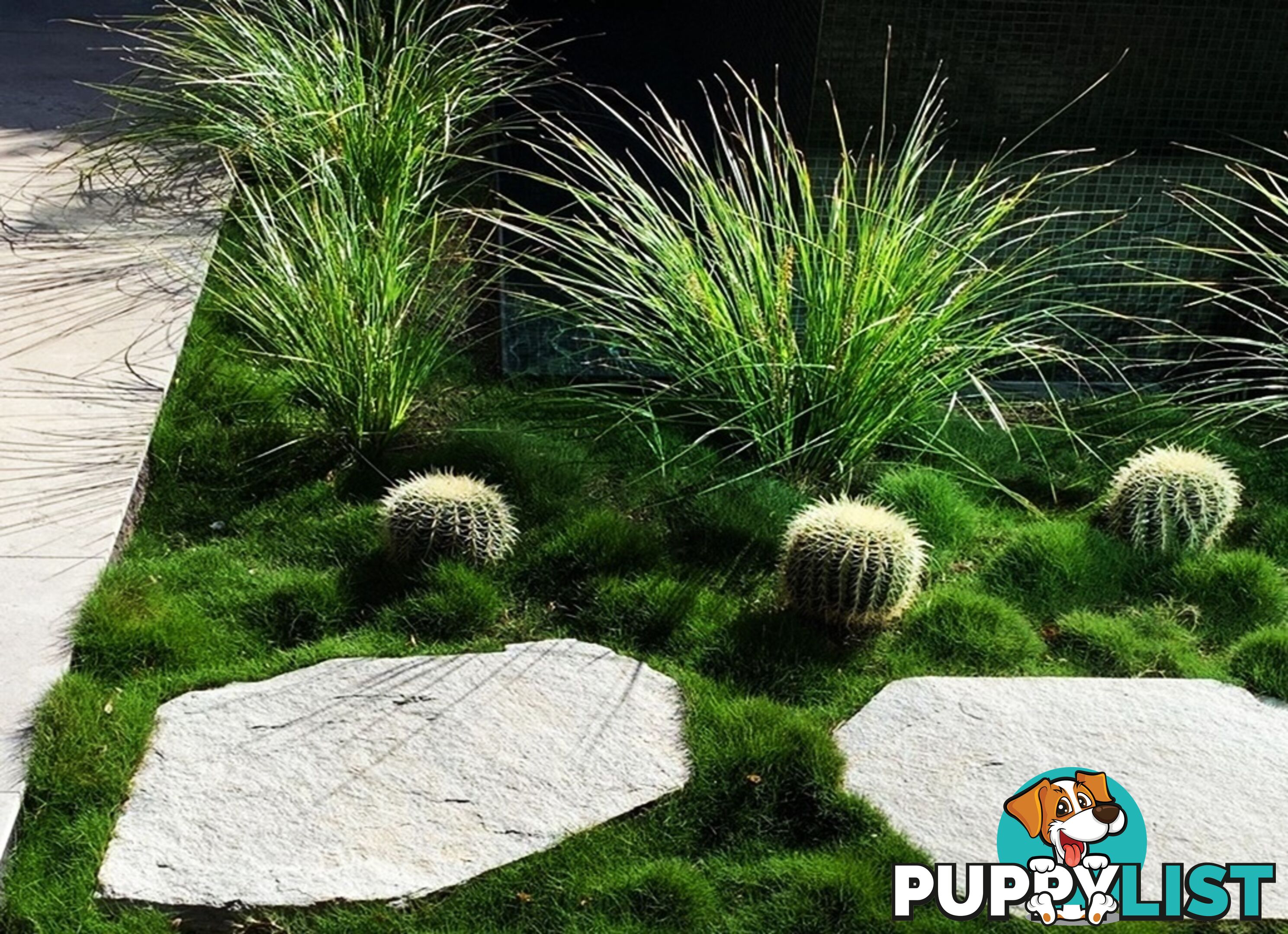 Slabs Of Korean Grass (Zoysia Tenuifolia) 350mm X 295mm Free Post $68.00