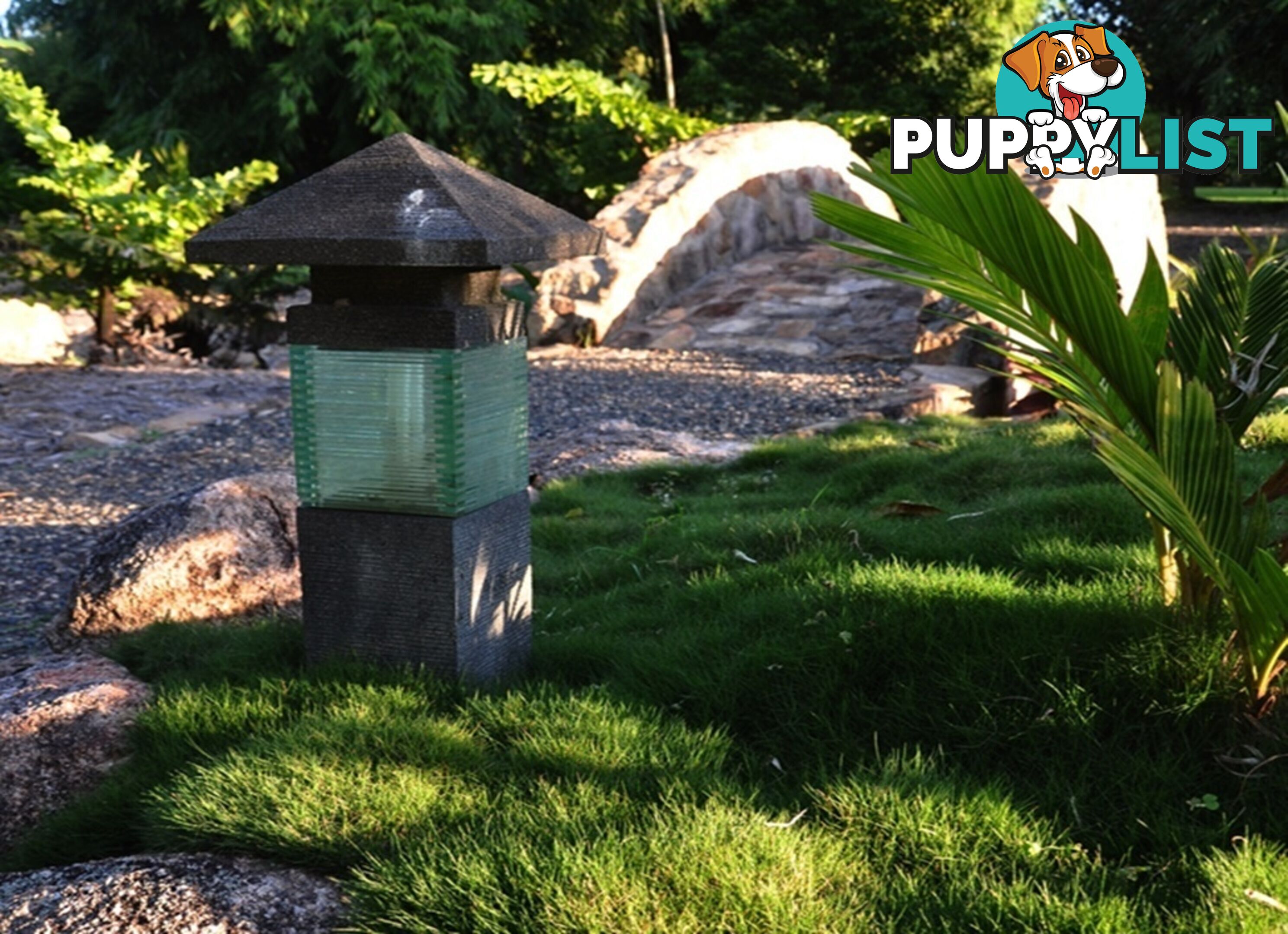 Korean No Mow Grass (Zoysia tenuifolia) 10 x 100mm Pots $70.00 Free Post