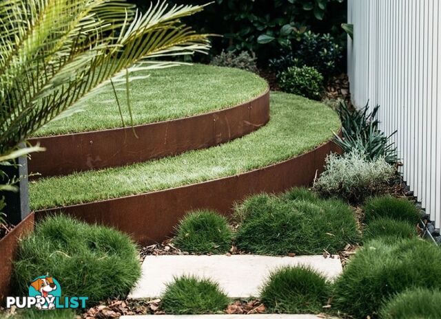Korean No Mow Grass (Zoysia tenuifolia) 10 x 100mm Pots $70.00 Free Post