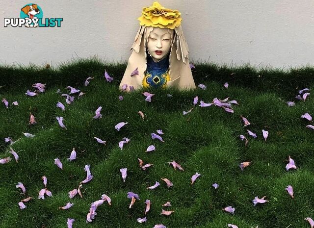 Korean No Mow Grass (Zoysia tenuifolia) 10 x 100mm Pots $70.00 Free Post