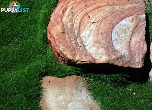 Slabs Of Zoysia Tenuifolia 350mm X 295mm Free Courier Delivery $68.00