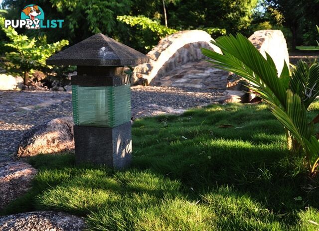 Special - No Mow Grass (Zoysia) 10 x 100mm pots - $70.00 free delivery