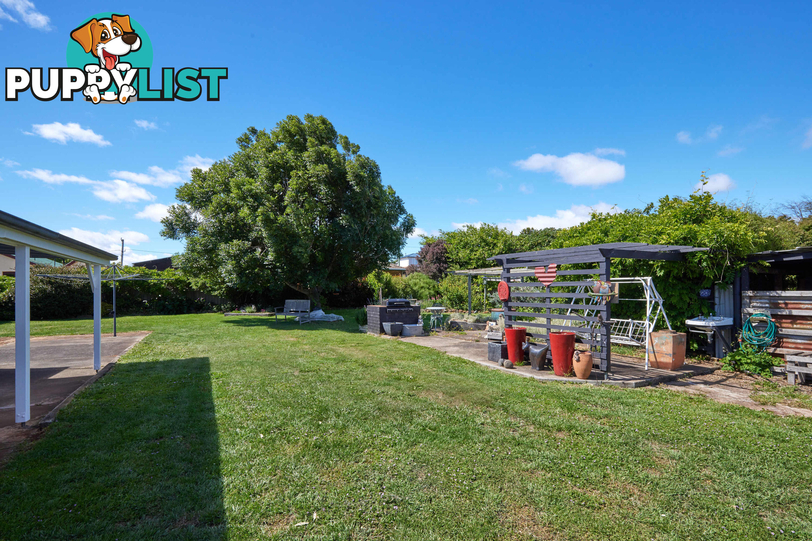 53 East Barrack St Deloraine TAS 7304