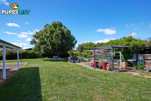 53 East Barrack St Deloraine TAS 7304