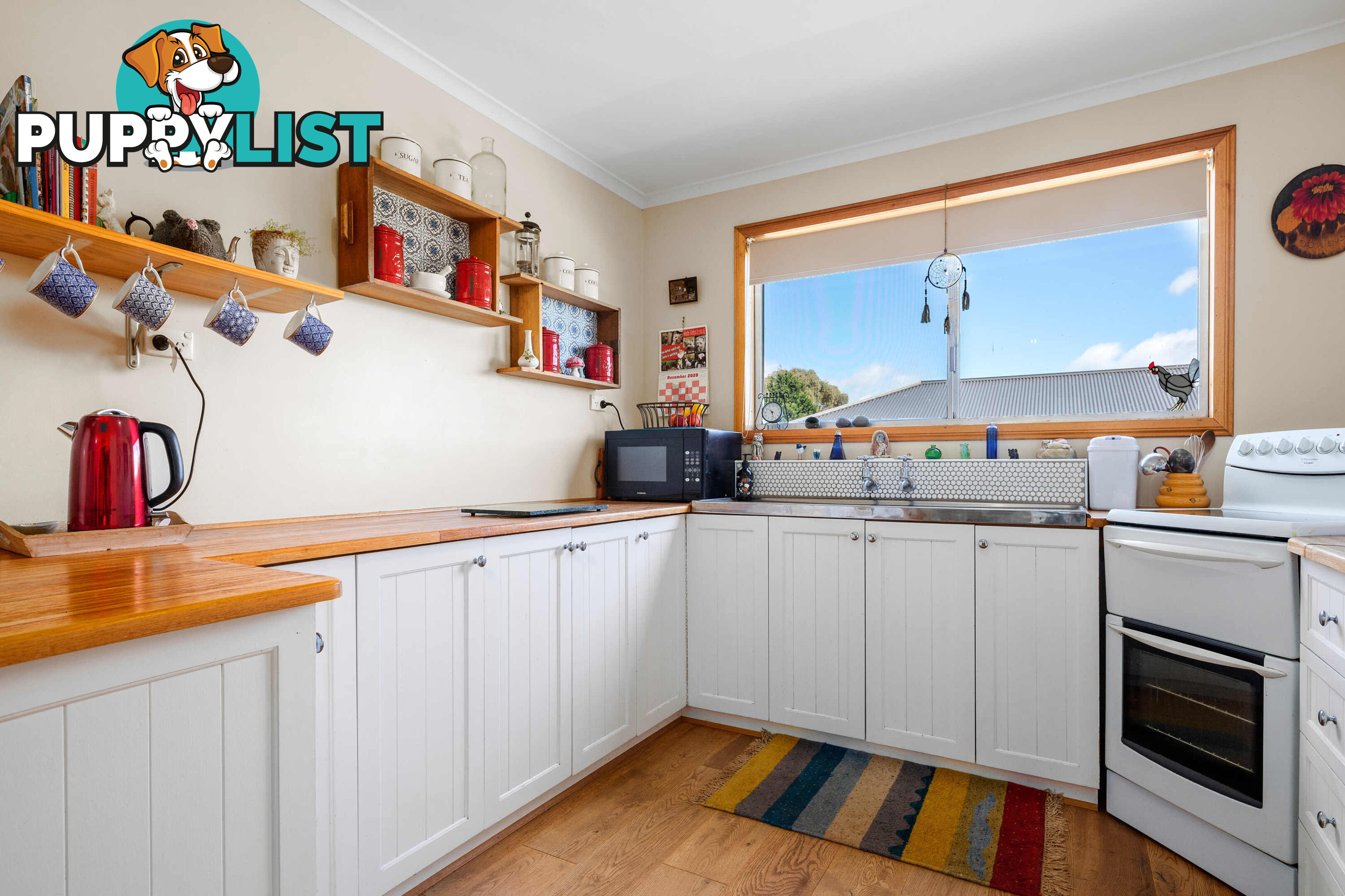 53 East Barrack St Deloraine TAS 7304