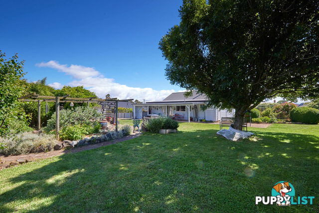 53 East Barrack St Deloraine TAS 7304