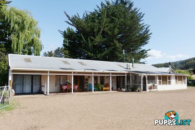 86 Pioneer Dr Mole Creek TAS 7304