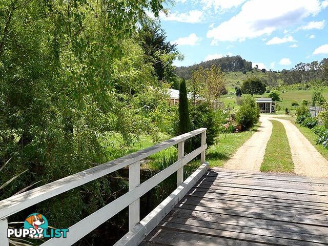 86 Pioneer Dr Mole Creek TAS 7304