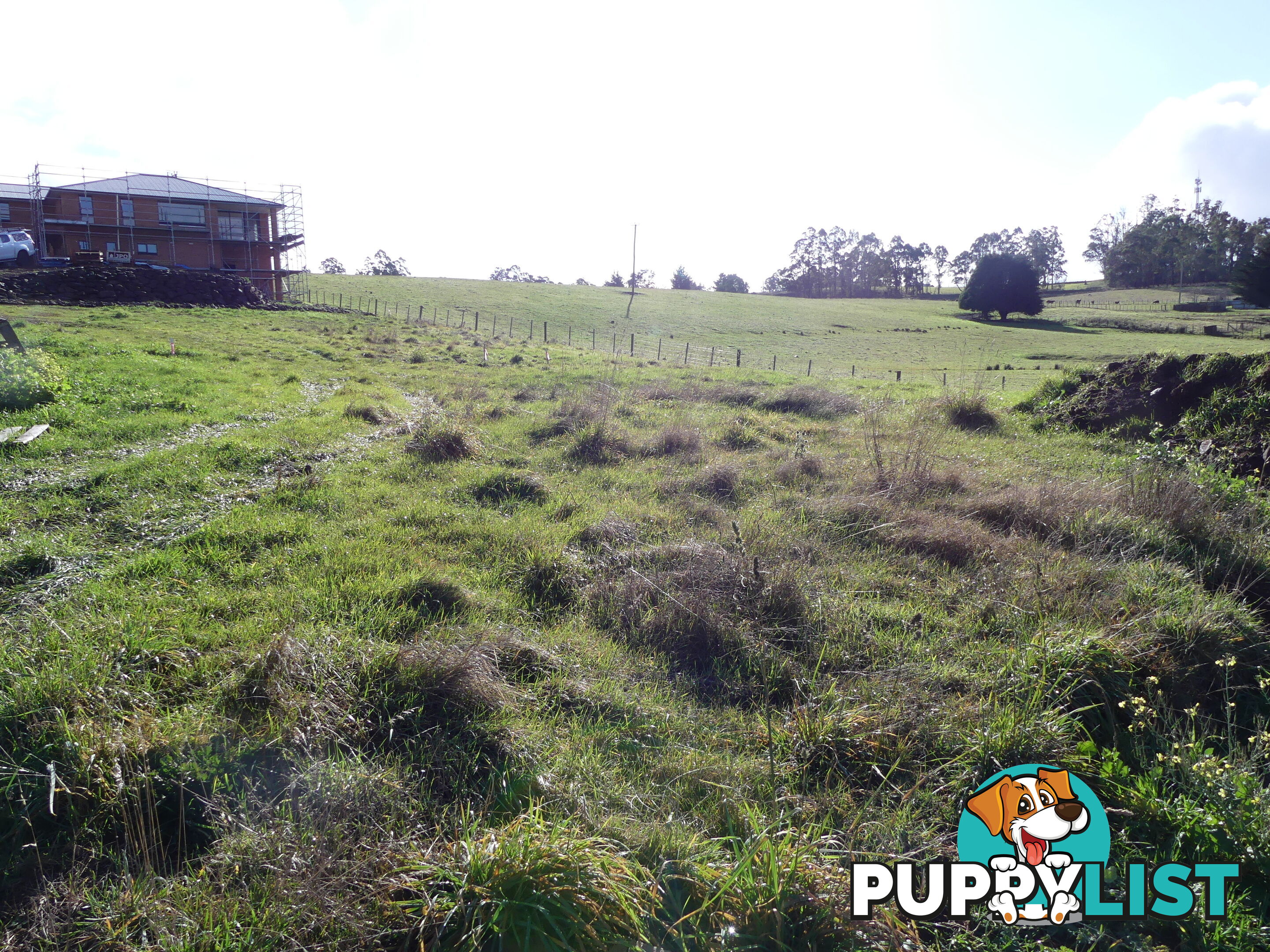 Lot 1,84 West Church Street Deloraine TAS 7304