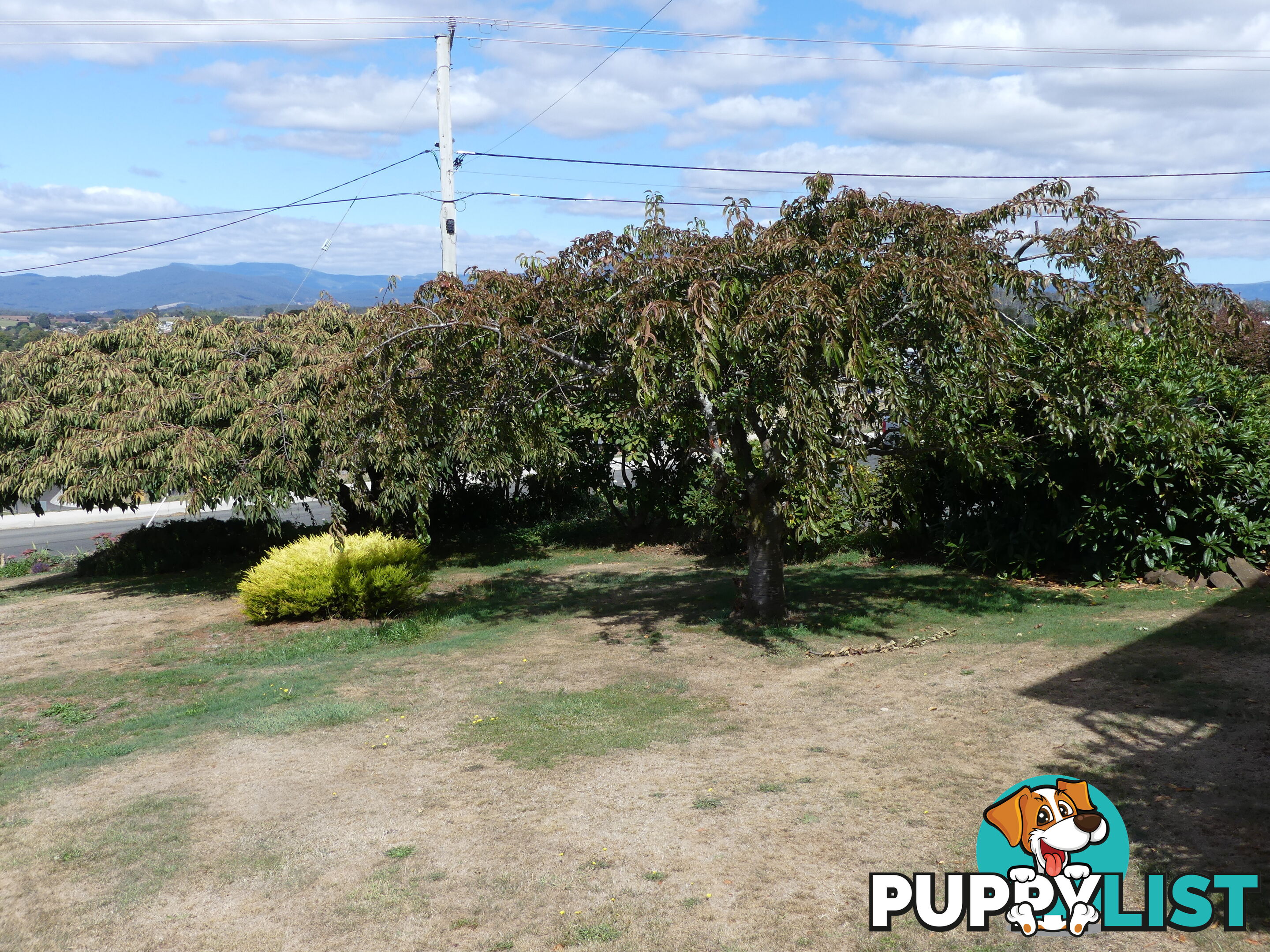 29 Dry Street Deloraine TAS 7304