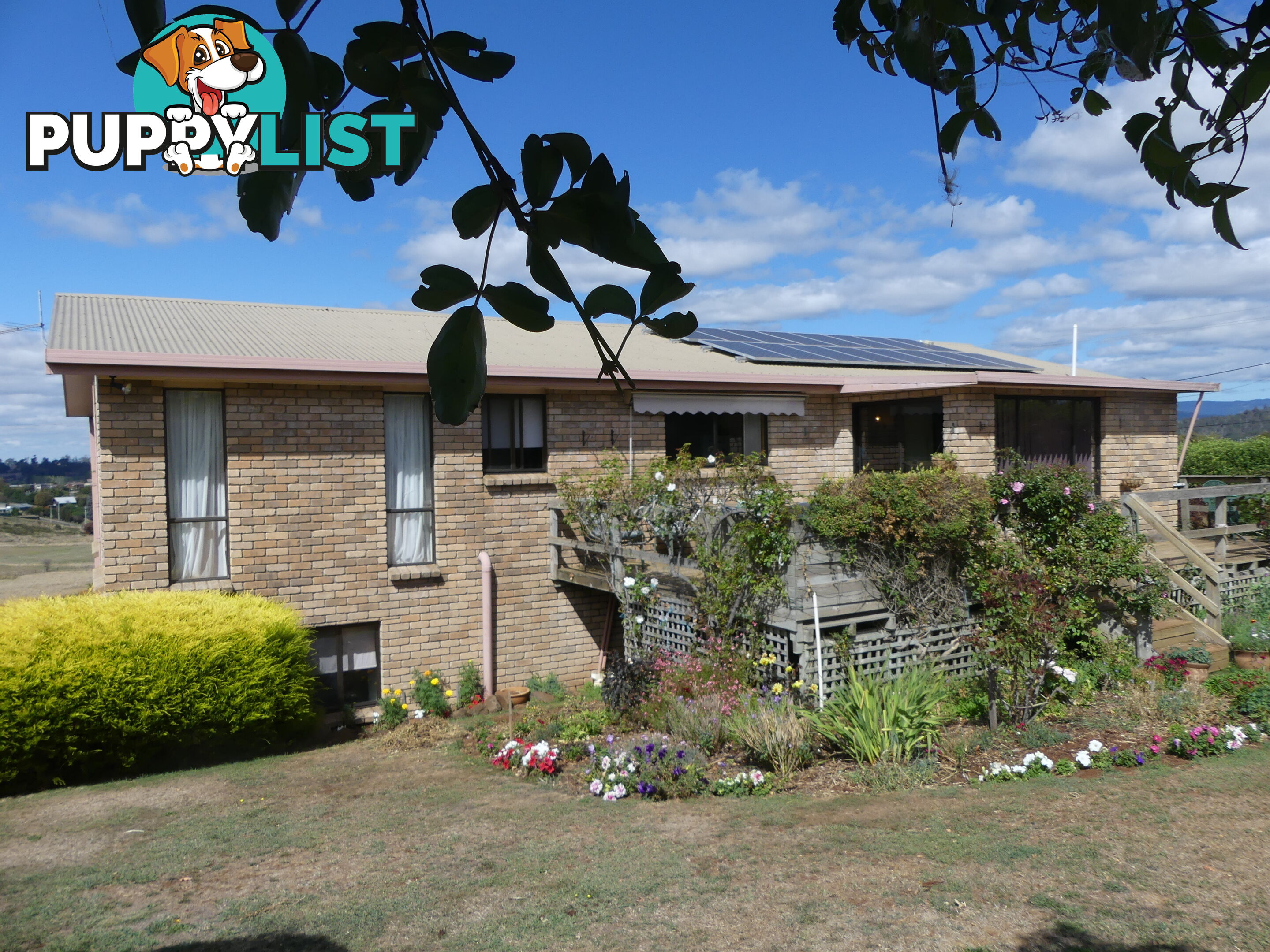 29 Dry Street Deloraine TAS 7304