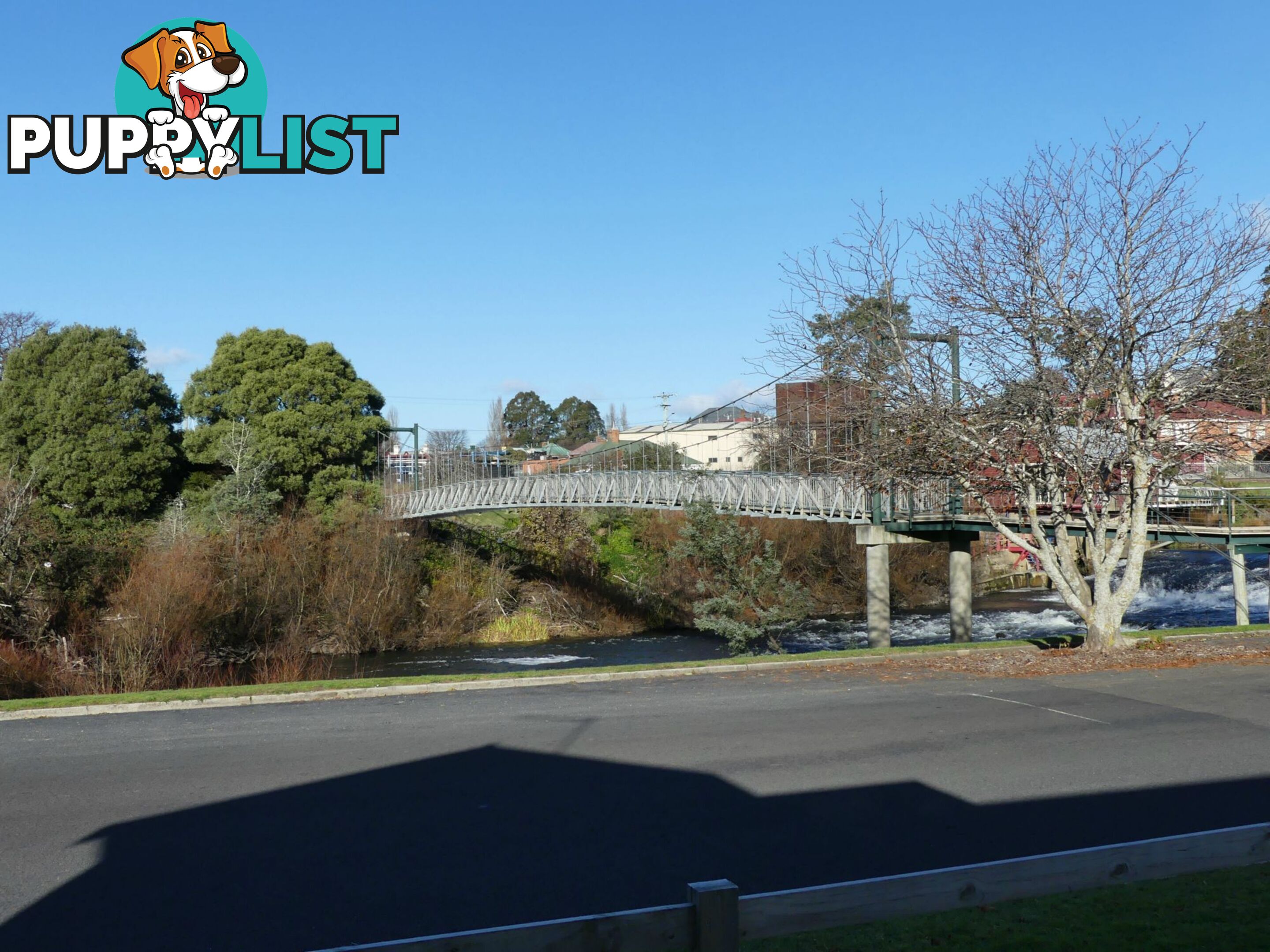 3 West Parade DELORAINE TAS 7304