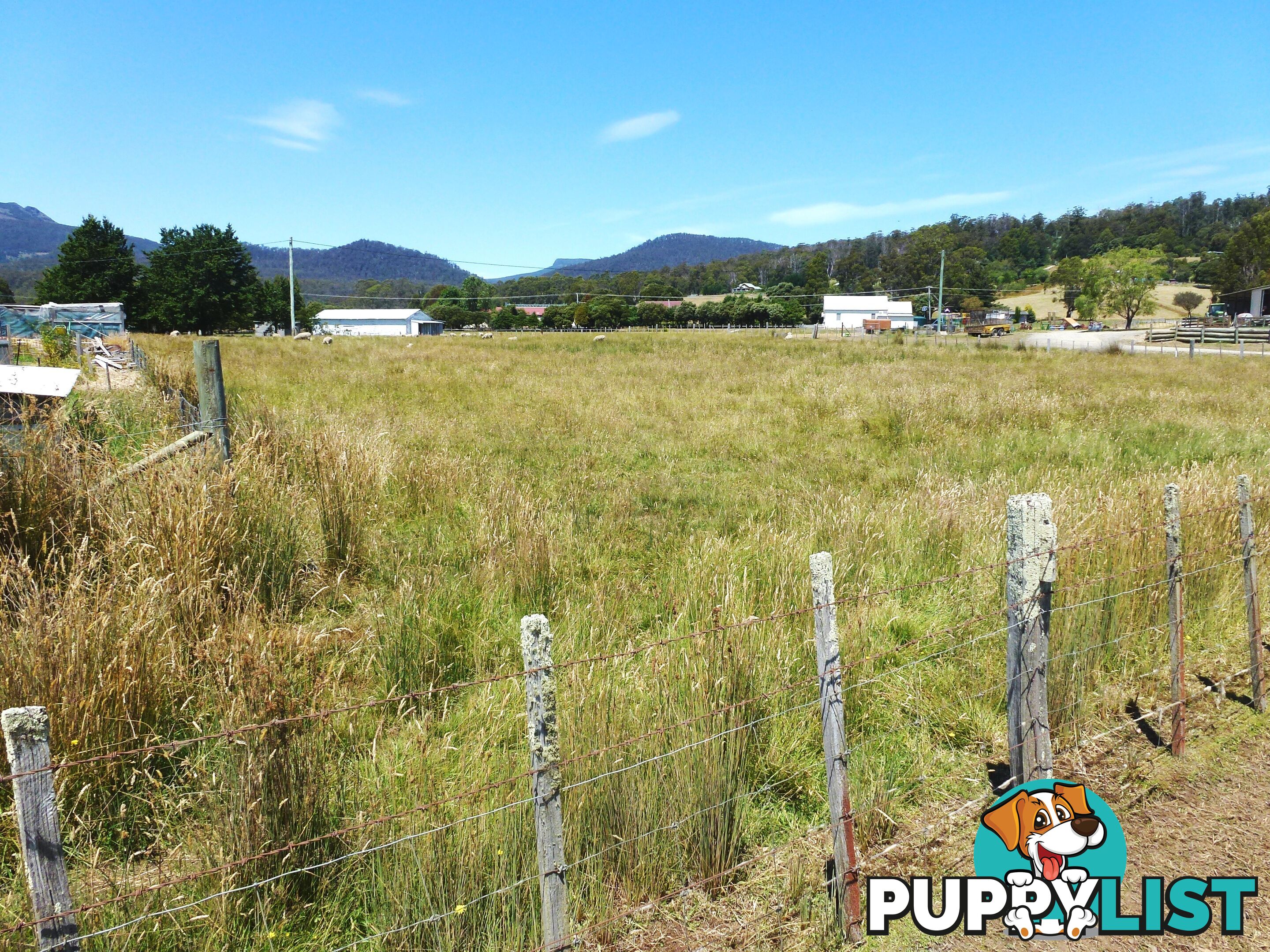 Lot 3 Reiffers Road Meander TAS 7304