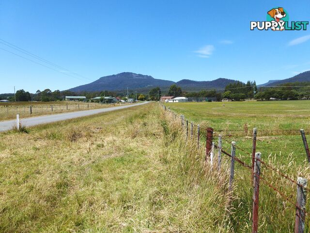 Lot 3 Reiffers Road Meander TAS 7304