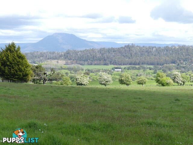 156 Emu Bay Rd Deloraine TAS 7304